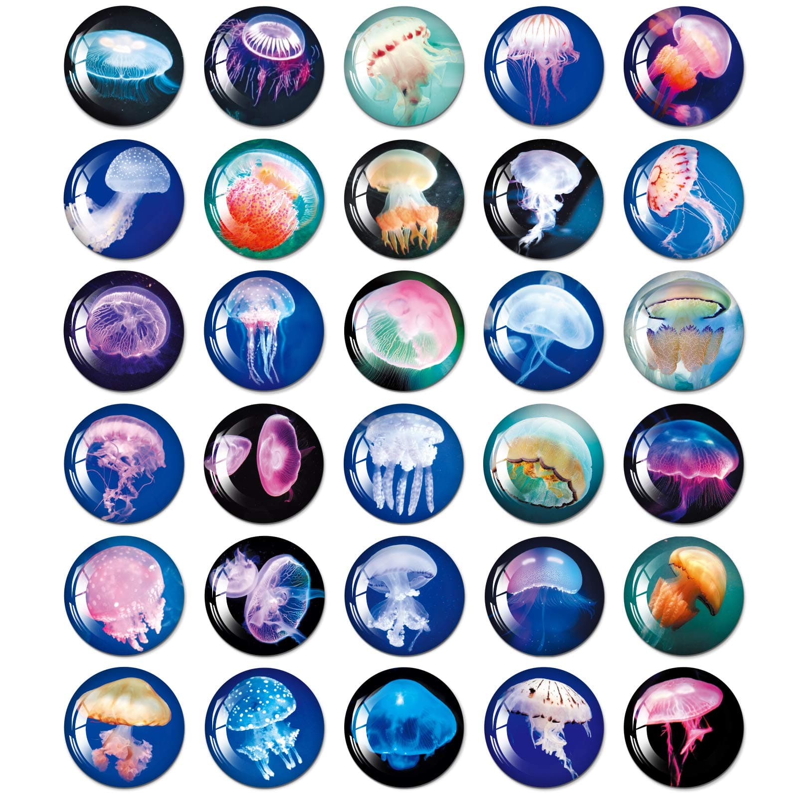 Fridge Magnets for Kids, 30 Pcs Jellyfish Magnets with Beautiful Texture, Animal Magnets for Refrigerator Whiteboards Locker Charkboard Office Kitchen, Gifts for Kids Adults(1.16 Inches)