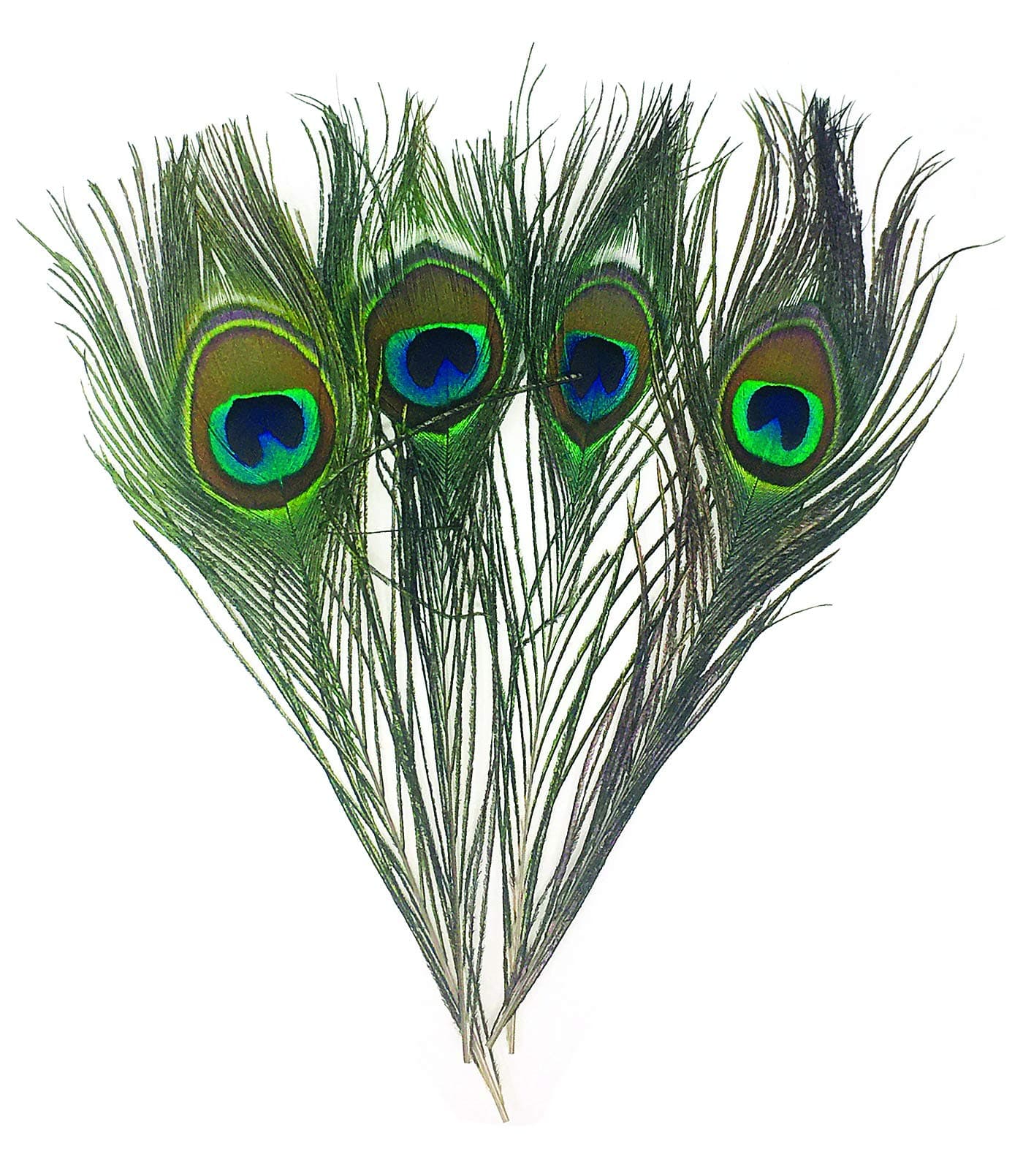 Creative Angler Peacock Eye Feathers for Fly Tying or Tying Flies. 4 Feather per Pack