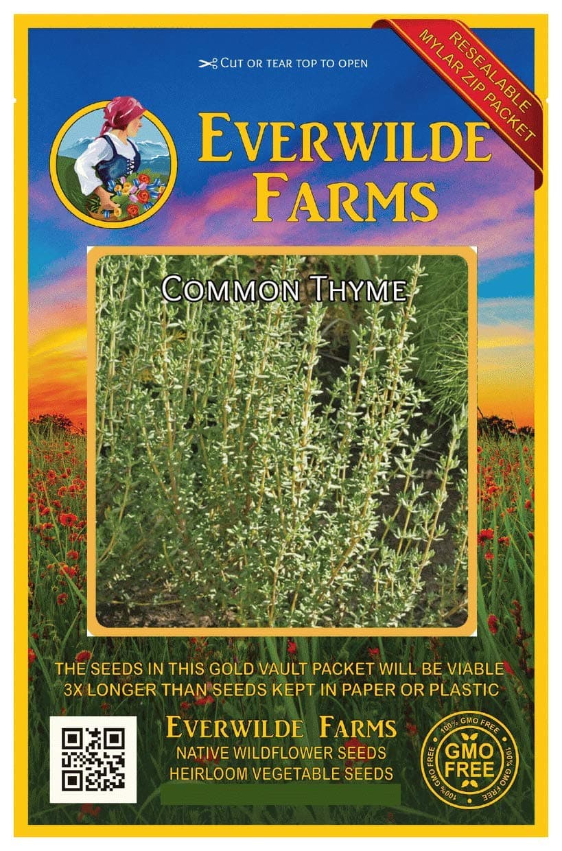 Everwilde Farms - 1000 Common Thyme Herb Seeds - Gold Vault Seed Packet