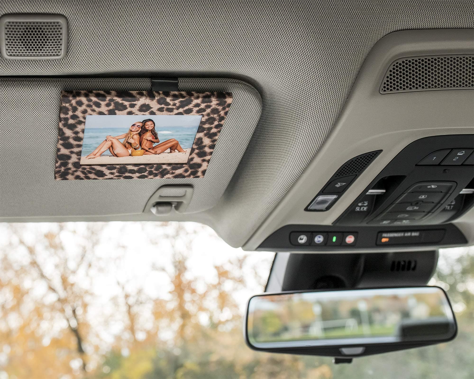 Clips to Car Sun Visor (Cheetah) Fits Standard Wallet Size Photo (2.5 inches x 3.5 inches) - Rotating Clip for Landscape or Portrait Position - Made in Detroit, USA