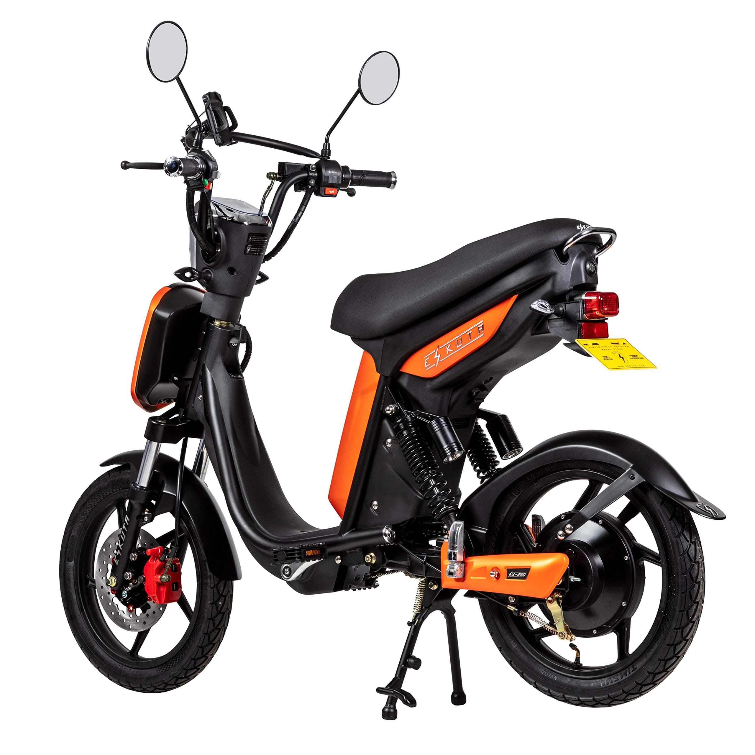 EAPC Electric Bike with Robust Powerful Brushless Motor, Pedal Assist, Rapid Charging, Zero Emissions for 100% Clean & Maintenance-Free Transport