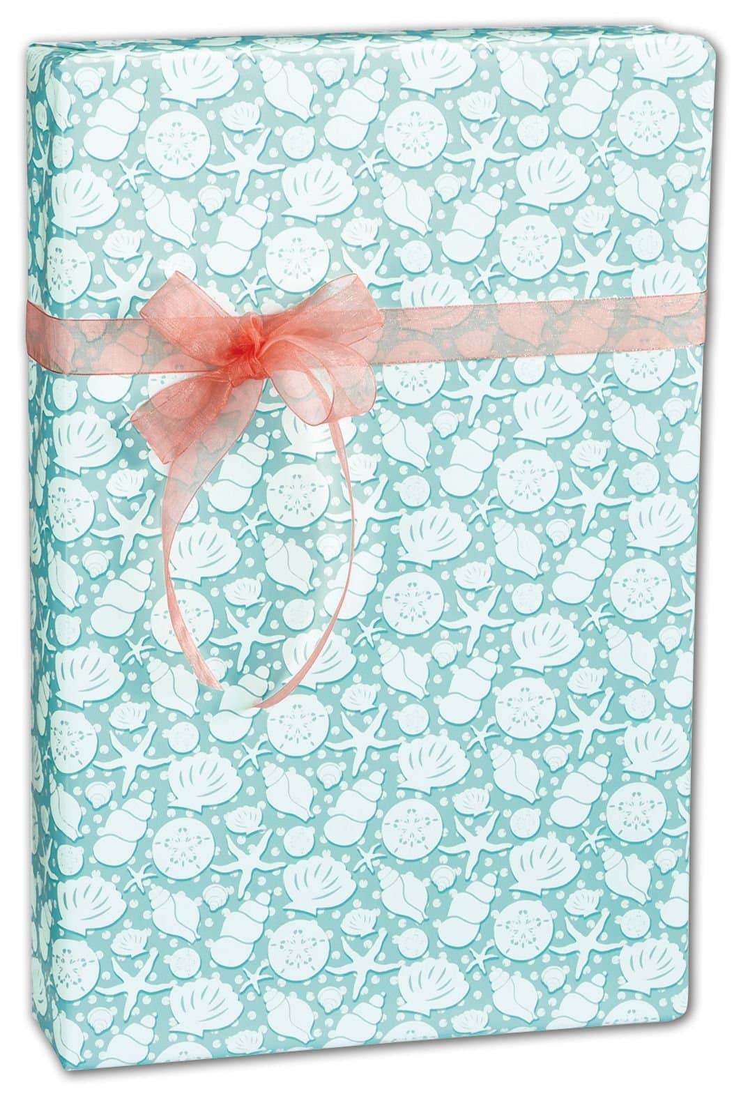 Everyday Gift Wrap - Seashells Gift Wrap, 24" x 417' (1 roll) - BOWS-M-3164H