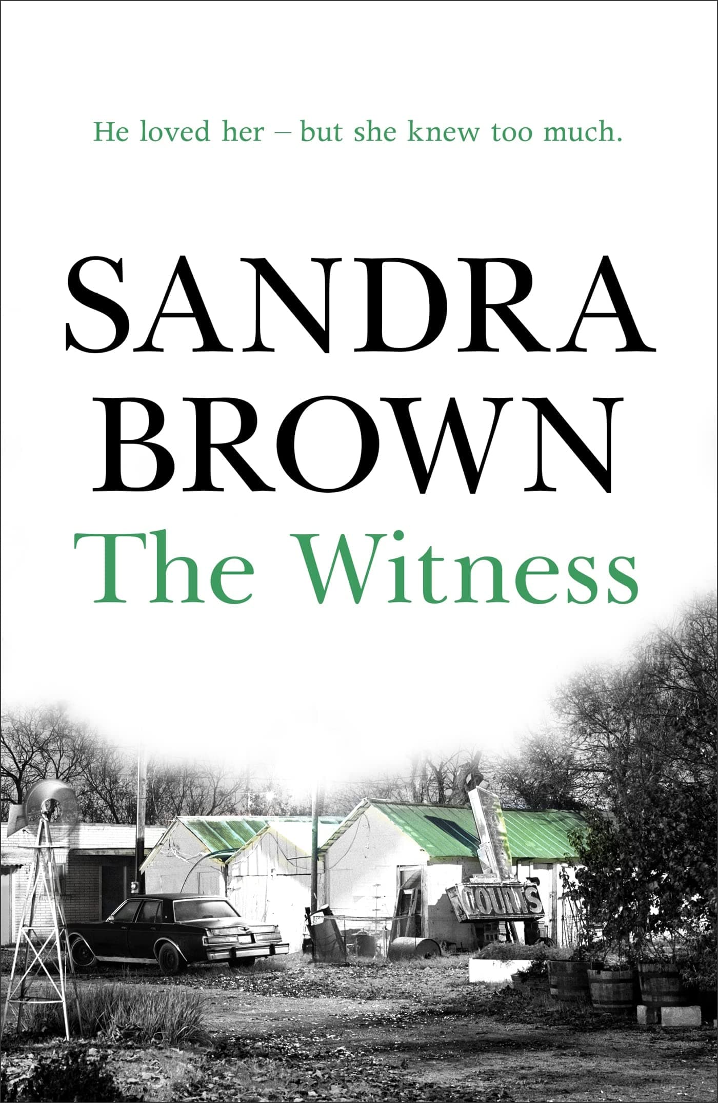 Hodder Paperback The Witness: The gripping thriller from #1 New York Times bestseller Paperback – International Edition, 18 September 2008