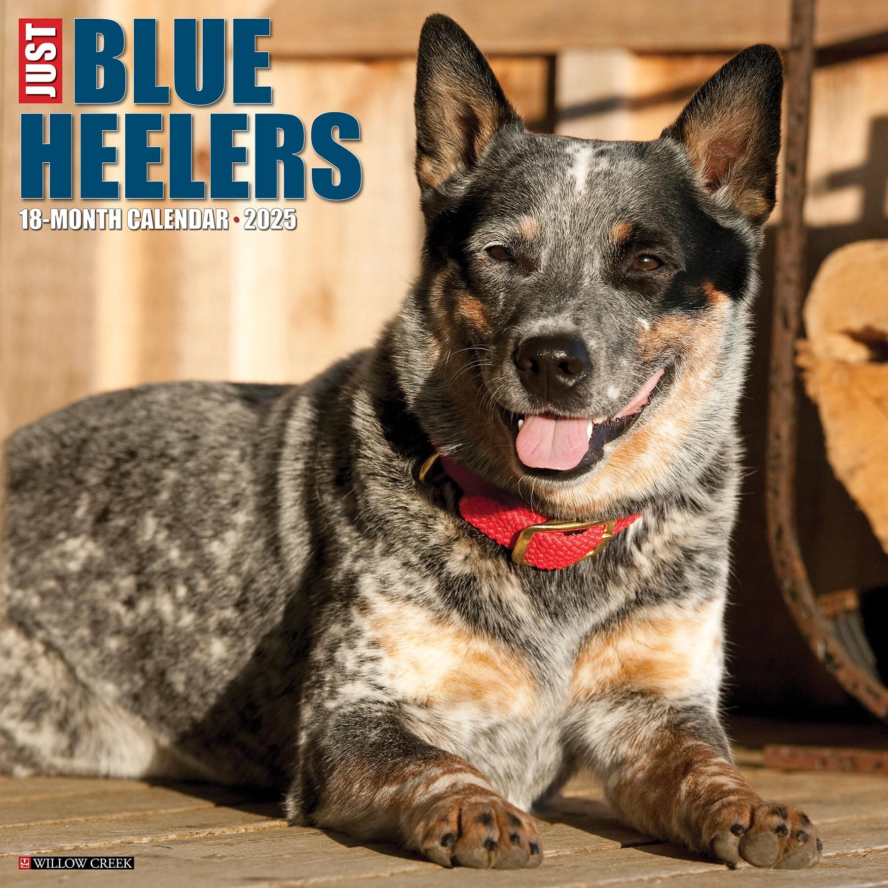 Willow Creek PressBlue Heelers Monthly 2025 Wall Calendar (12" x 12")