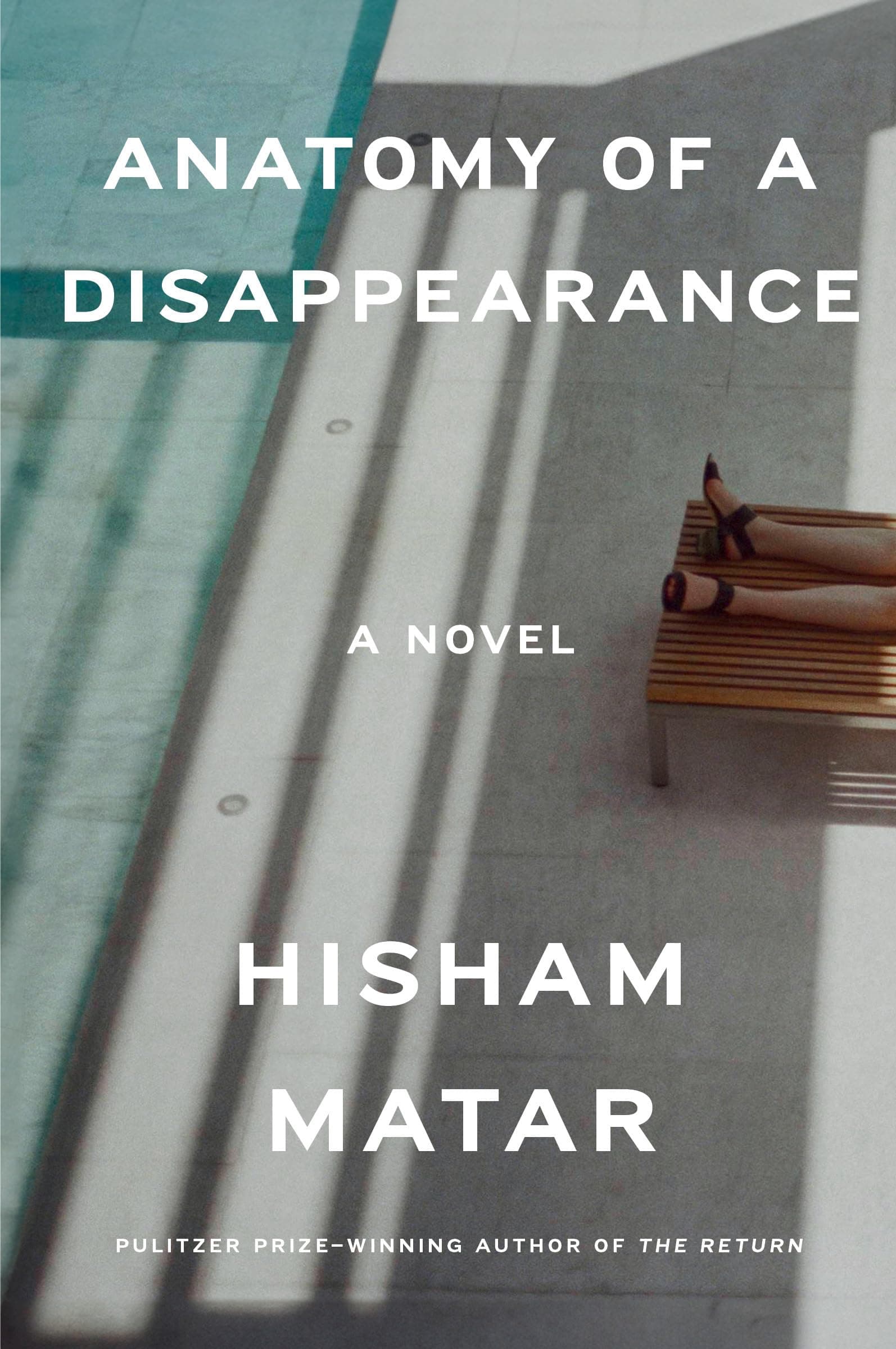 Anatomy of a Disappearance: A Novel