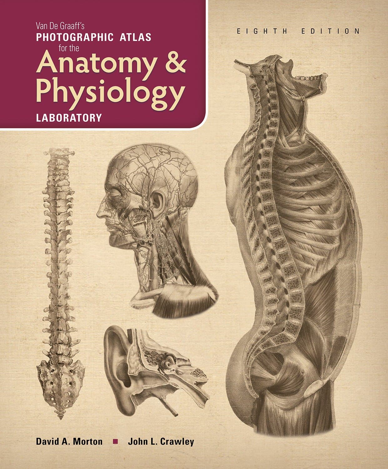 Van De Graaff's Photographic Atlas for the Anatomy & Physiology Laboratory Loose Leaf – January 15, 2016