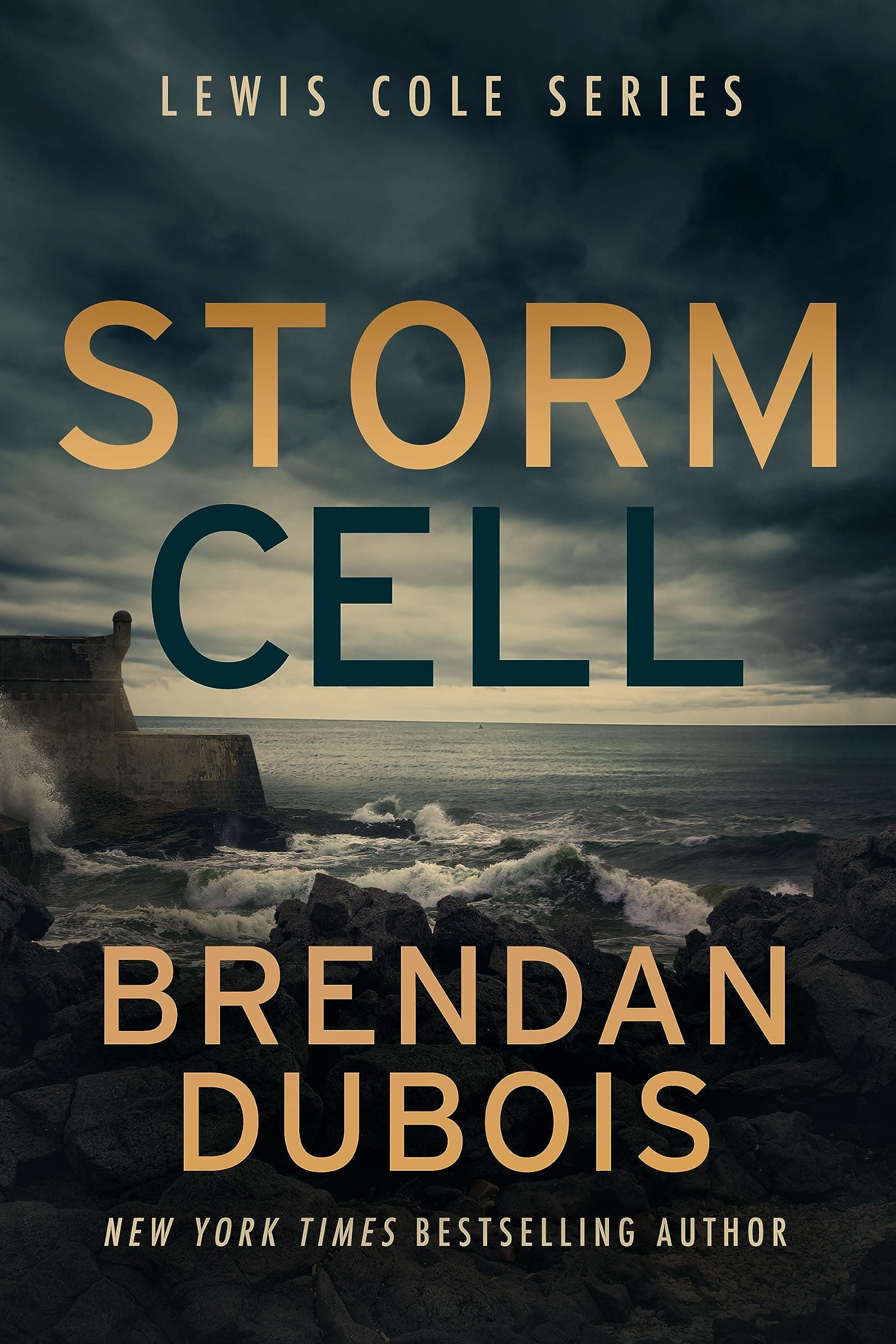 Brendan DuBoisStorm Cell (Lewis Cole Series, 10)