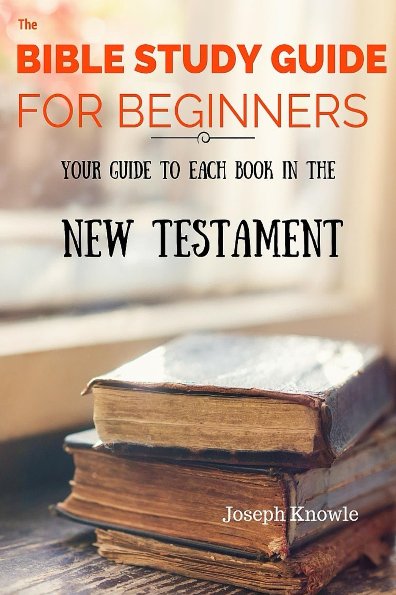 The Bible: The Bible Study Guide For Beginners - Understand The New Testament: Your Bible Study Guide To Each Book In The New Testament From The NIV, Get ... Guides and Workbooks For Prayer Warriors 4)