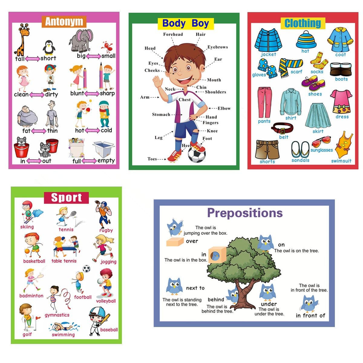 SANTSUN 5 Pcs Laminated Educational Preschool Posters for Toddlers| School classroom Posters | Class decorations for Kids Back to School Supplies, Preschool, Kindergarten, Elementary