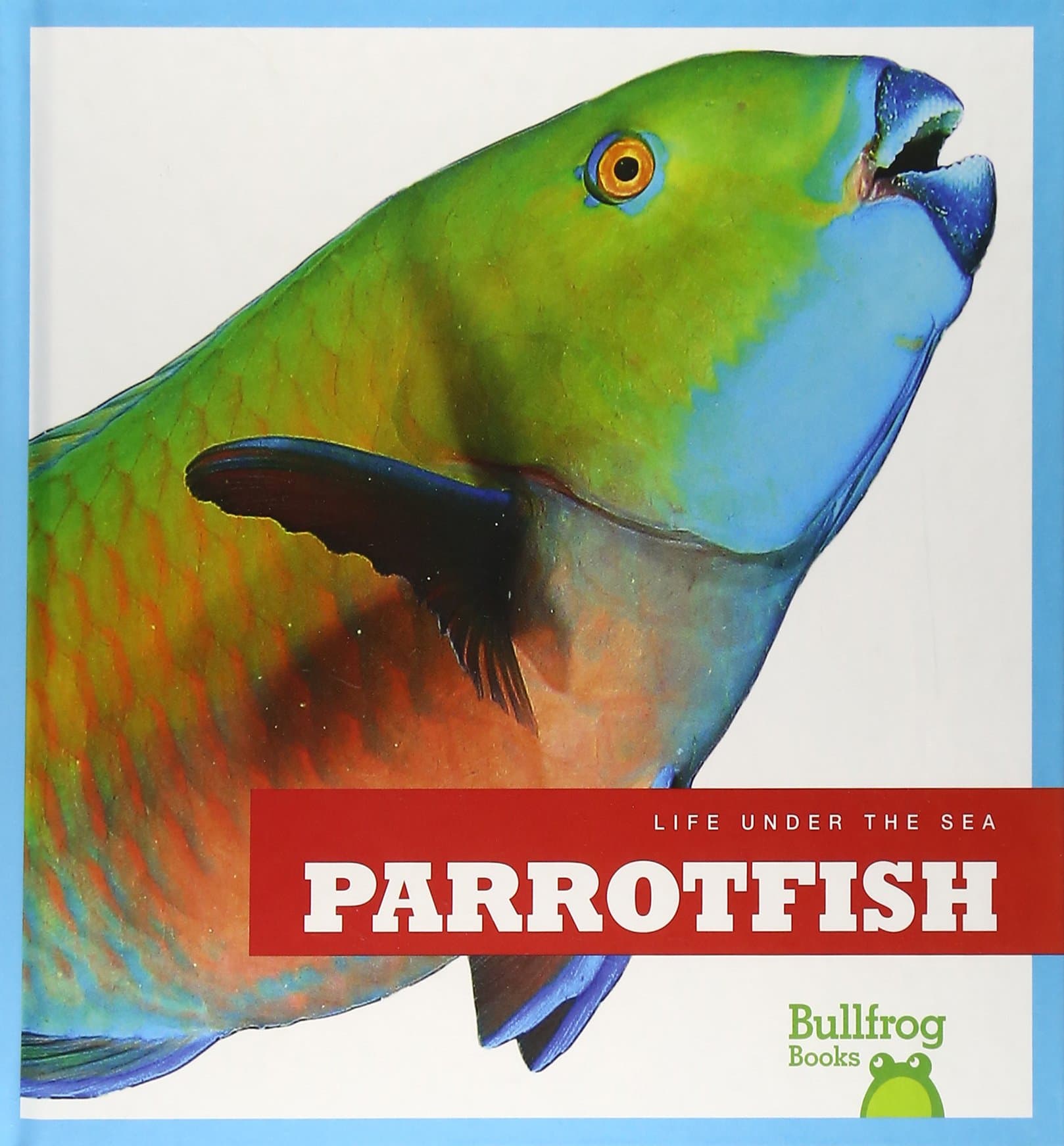 Parrotfish (Bullfrog Books: Life Under the Sea) Library Binding – Illustrated, August 1, 2014