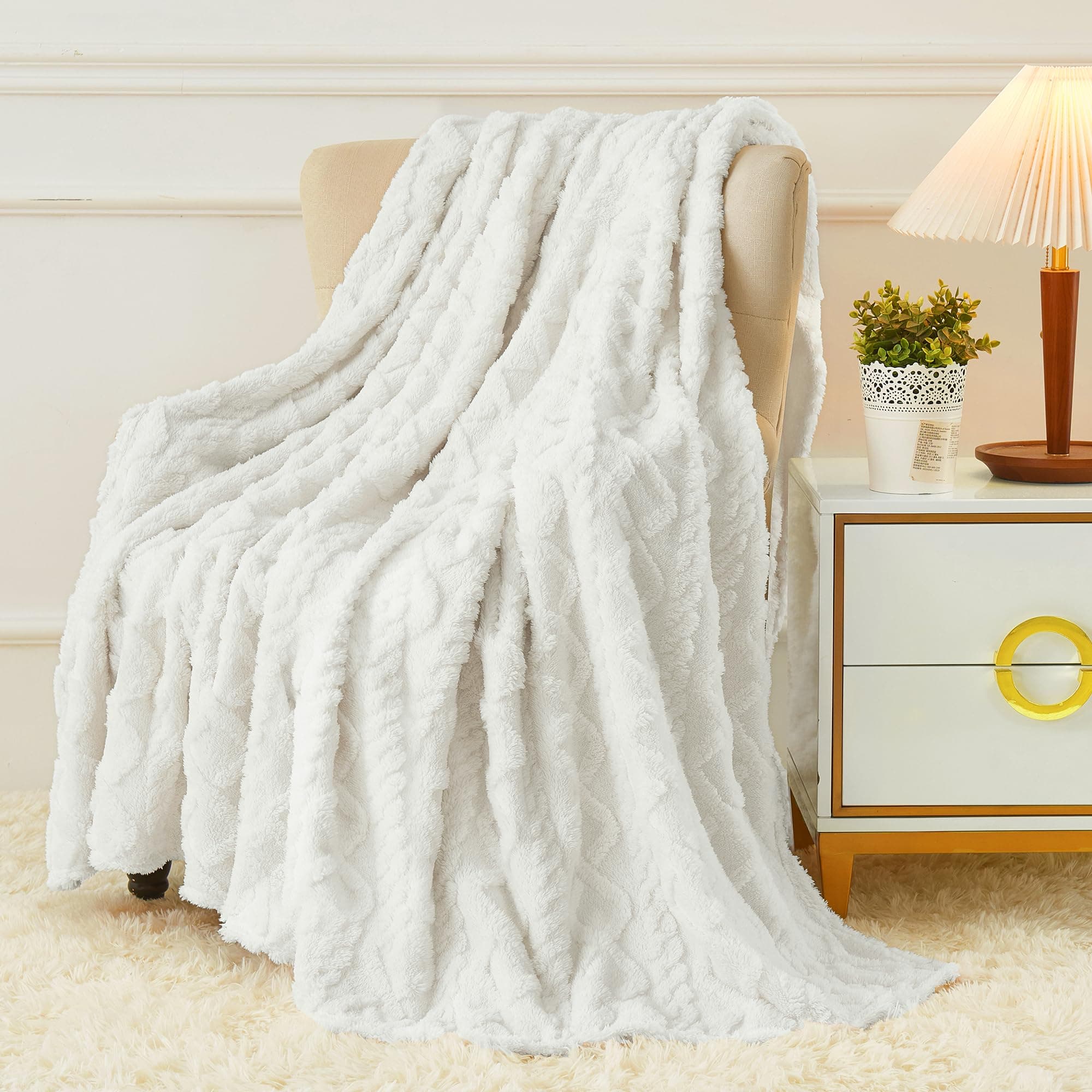 Aganear Fleece Throw Blanket - Cozy Soft Lightweight Fuzzy Flannel Throw Blanket for Women Warm Decorative Present for All Seasons, Portable Throw Blankets for Couch, Sofa, Bed, Car(50"x60", White)