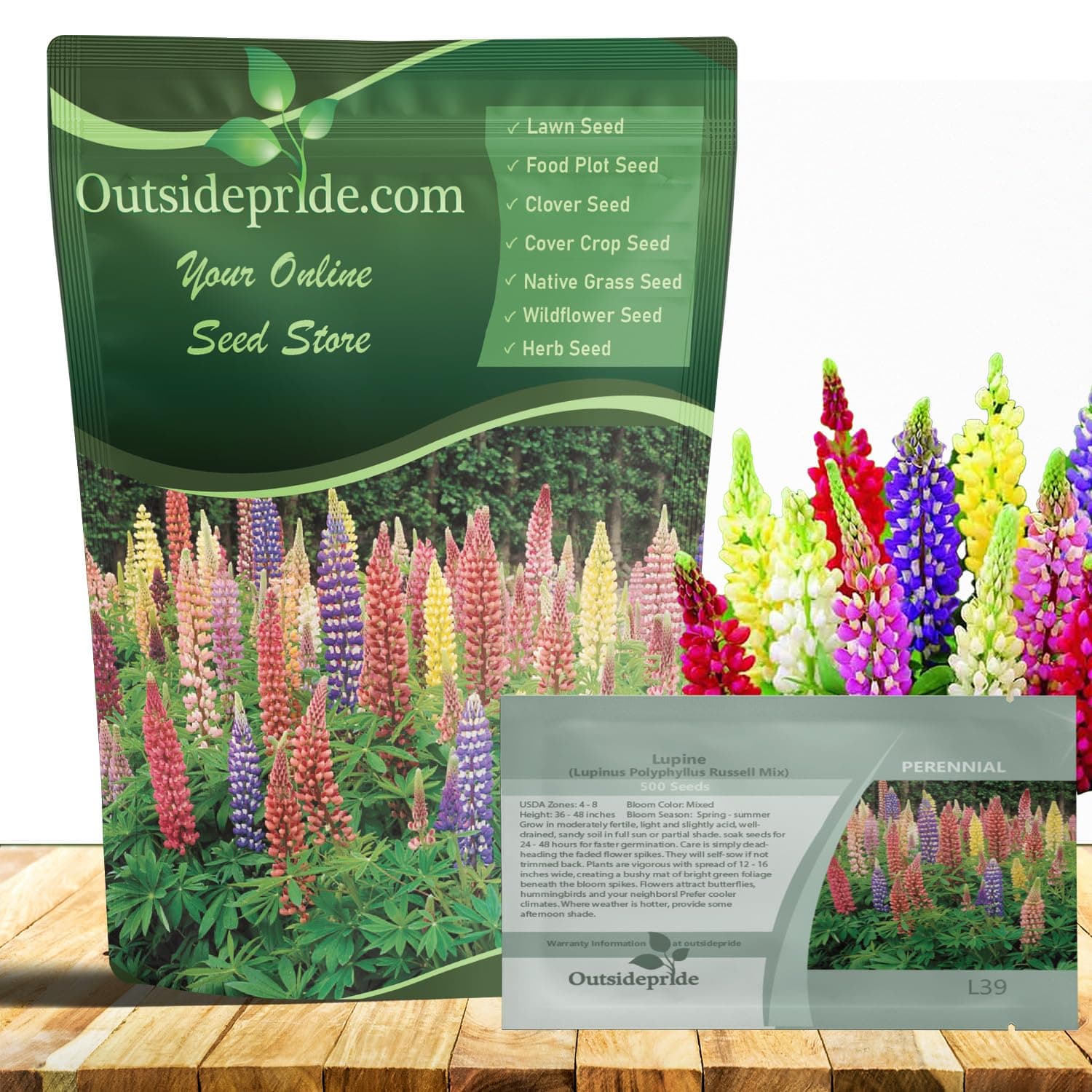 Outsidepride Mixed Russells Lupine Seeds - 1/4 Lb. Perennial, Self-Sowing, Cold Hardy & Frost Tolerant Wildflower Seeds for Fall Planting, Ideal for Attracting Pollinators & Hummingbirds