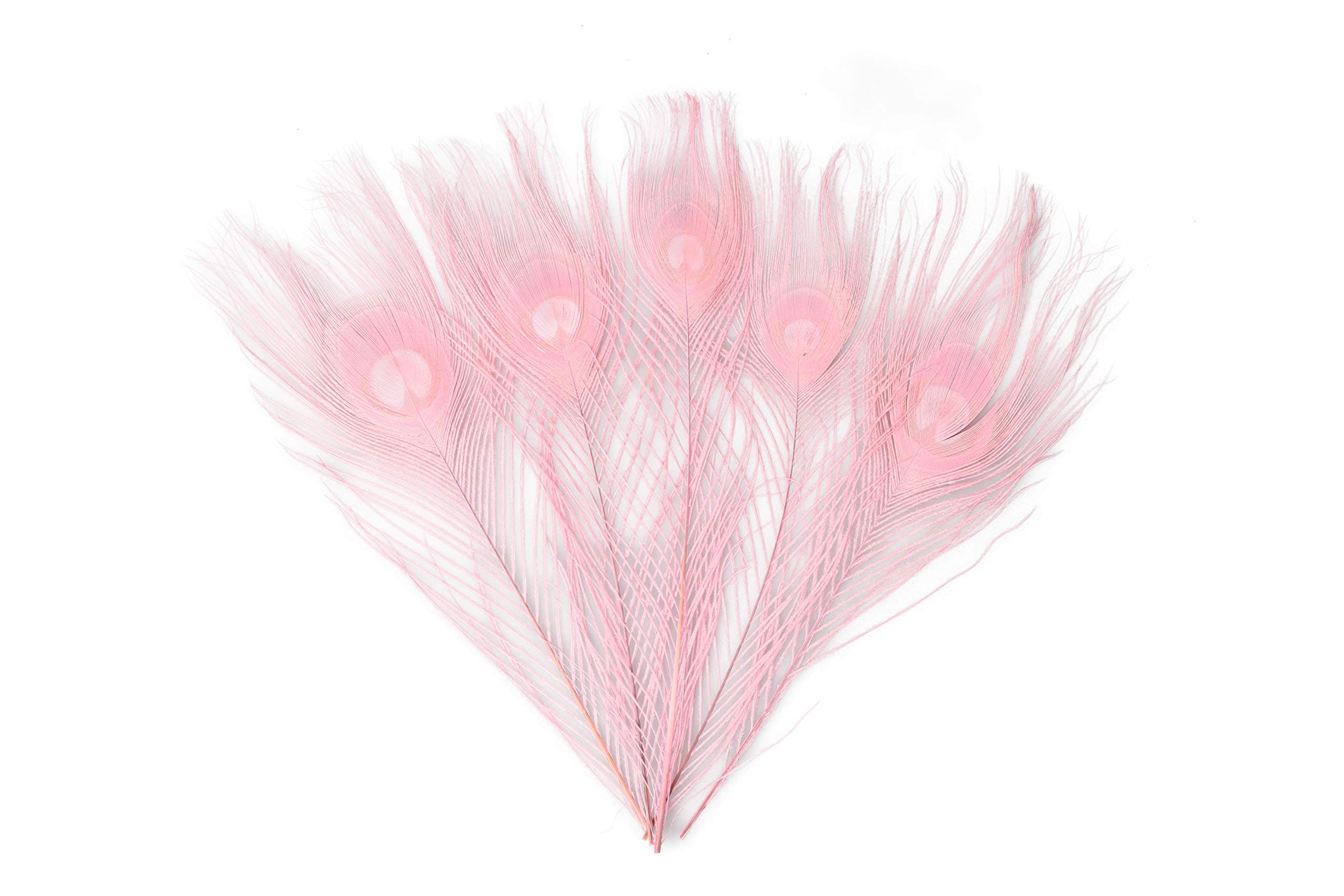 10-12 inches Peacock Feathers, Dyeing Peacock Feather for Decorate Clothing, Hair, Cakes, Festive Weddings, Pack of 30 (Pink)