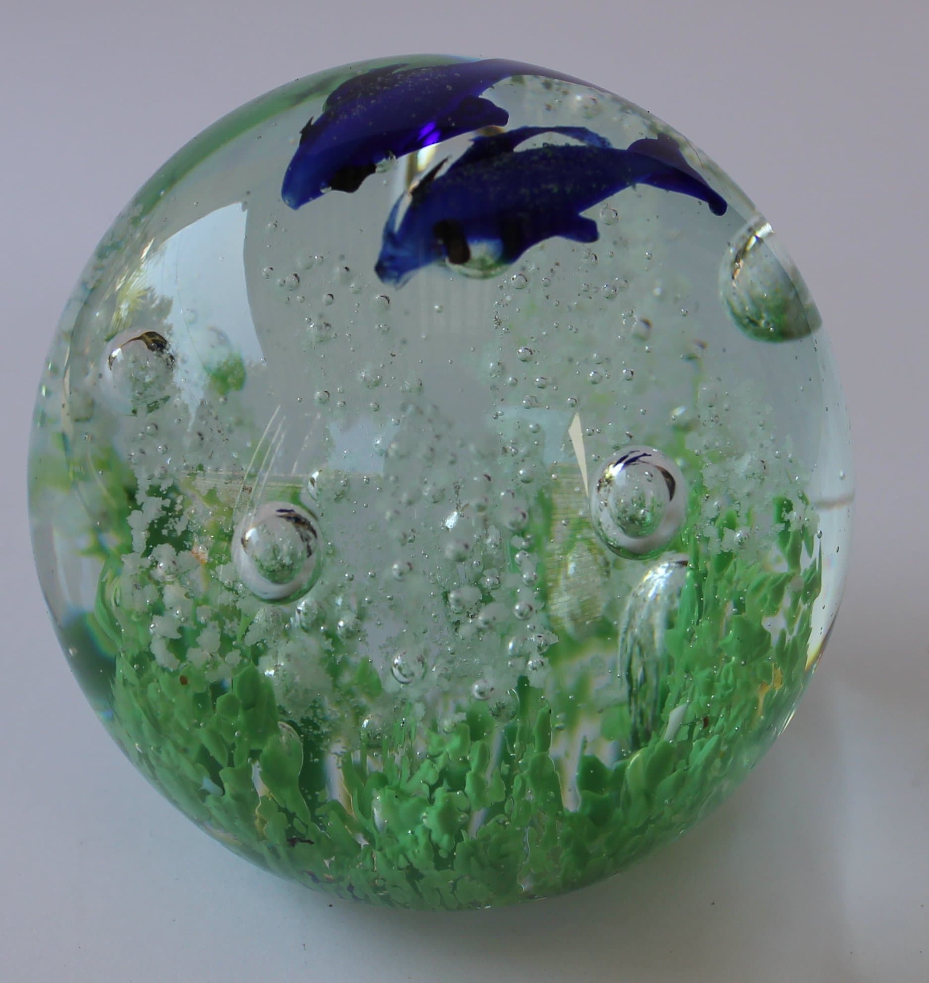 Chic Designs Two Dolphins in Blue Over Coral Bed and Bubbles Paperweight 2.5" X 2.5"
