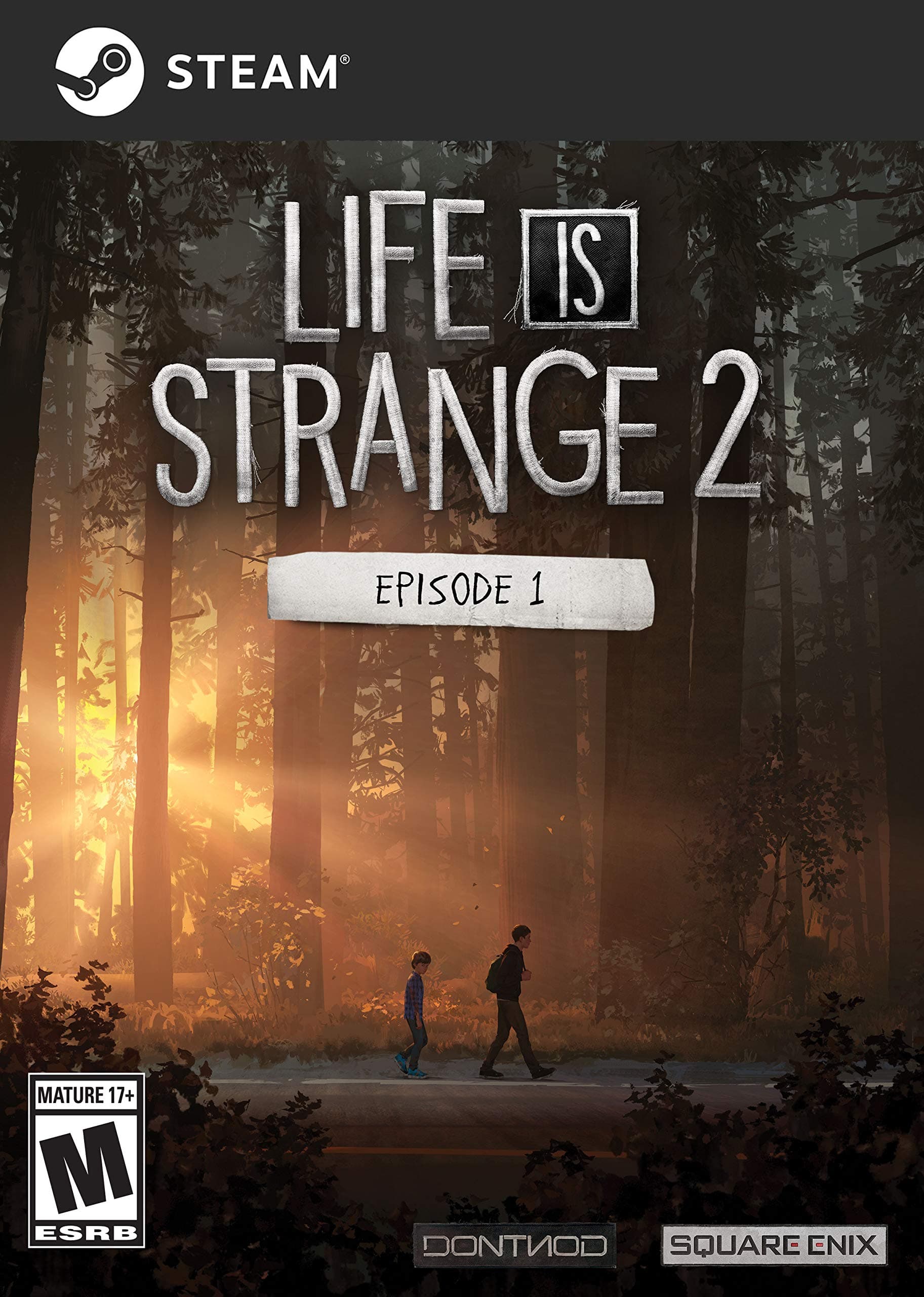 Life is Strange 2 - Episode 1 [Online Game Code]