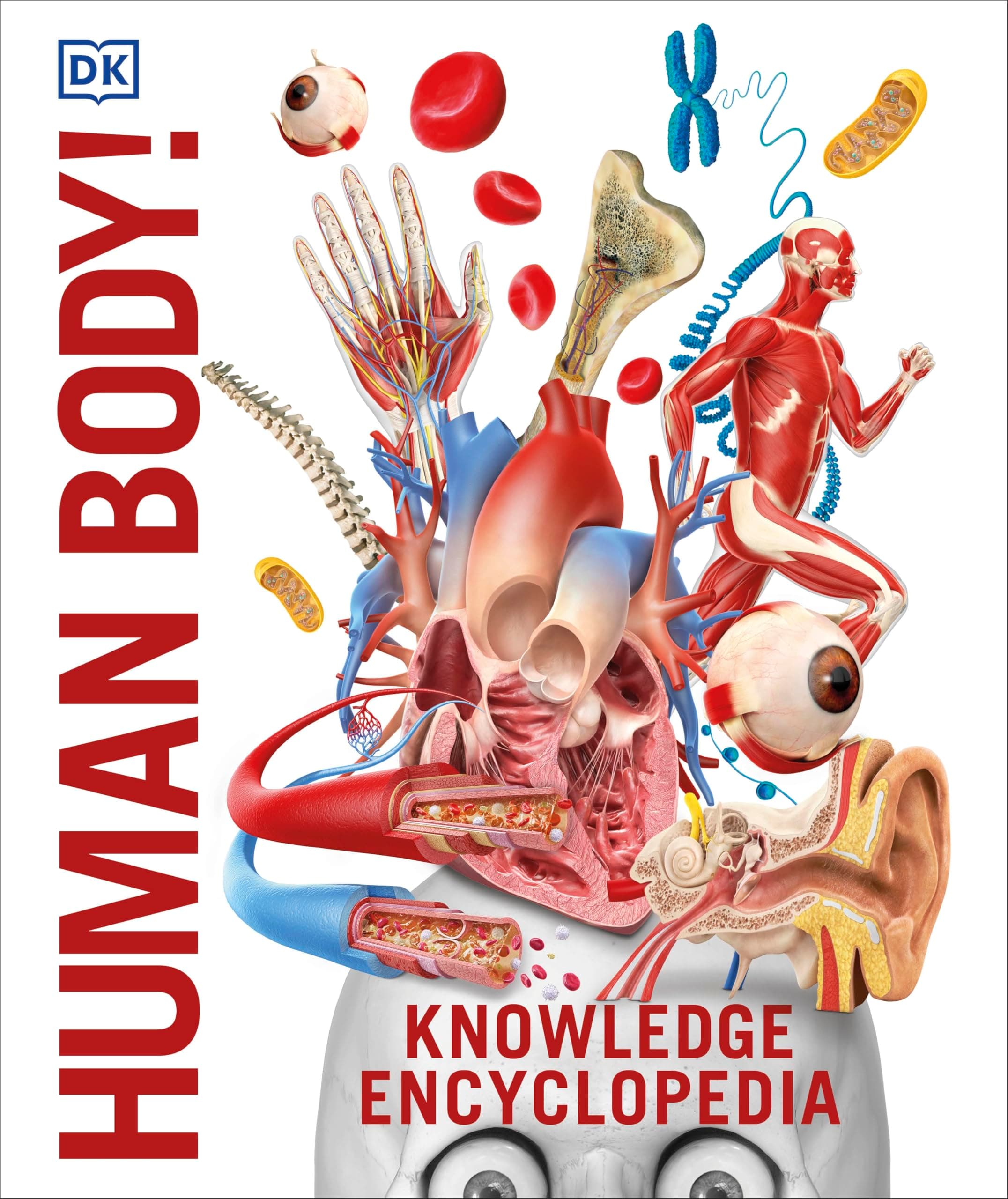 DK Knowledge Encyclopedia Human Body!