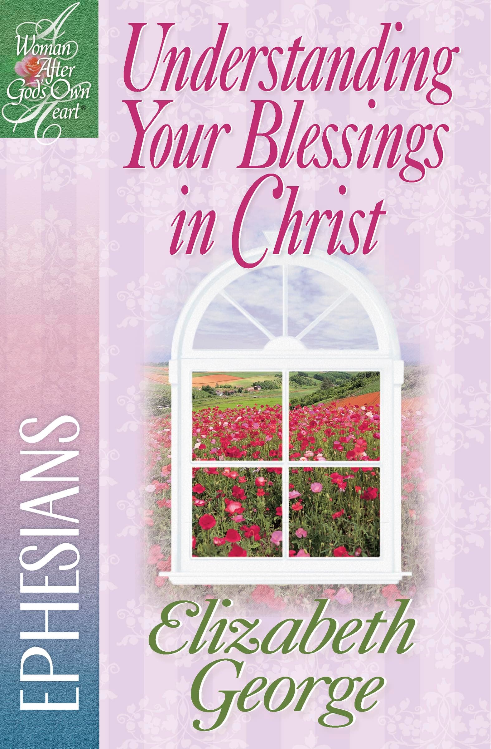 Understanding Your Blessings in Christ: Ephesians (A Woman After God's Own Heart)