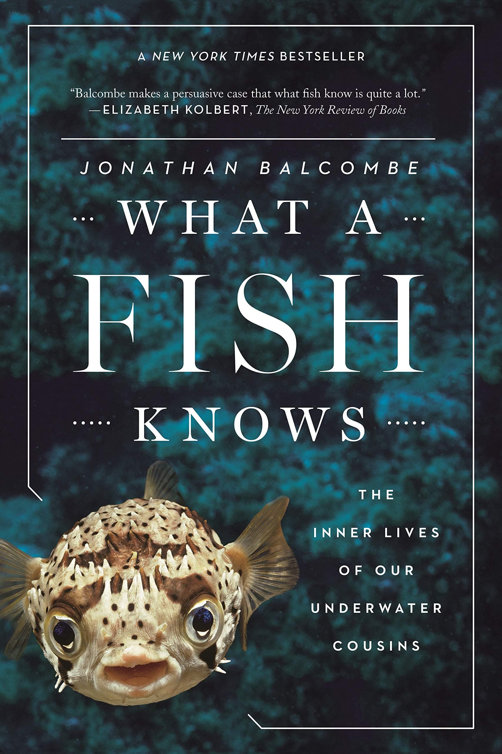 Scientific American What a Fish Knows: The Inner Lives of Our Underwater Cousins