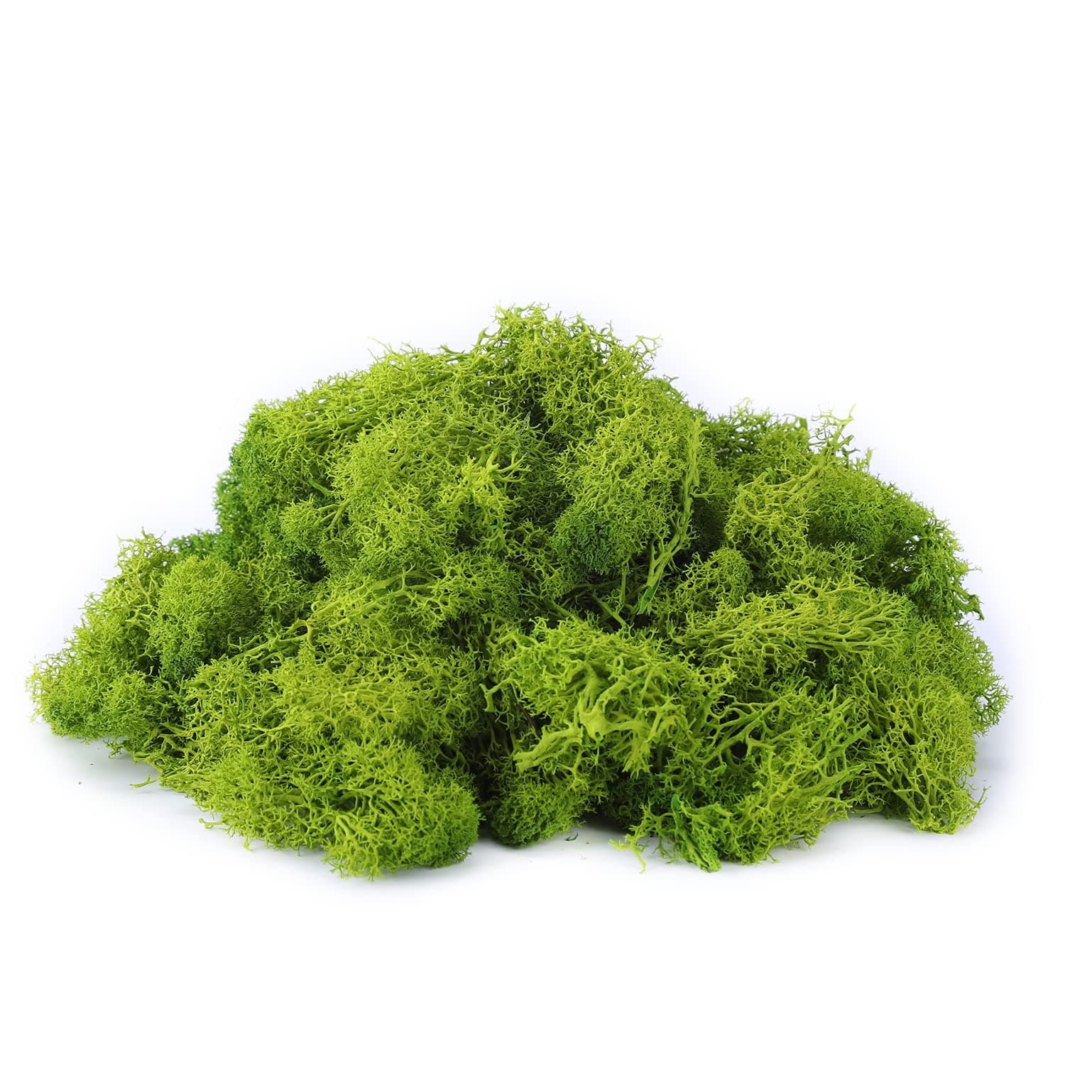 IHKFILAN Reindeer Moss - 100G Real Preserved Natural Moss for Crafts & Decoration, Model Making (Lemon Green, 3.5OZ)