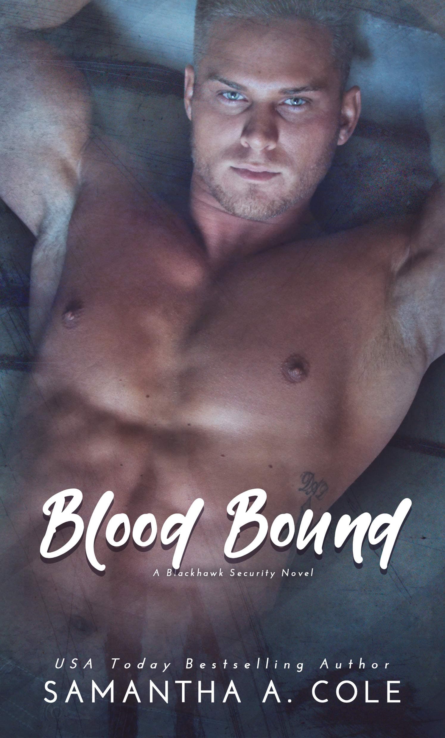 Blood Bound: A Private Security Contemporary Romance (Blackhawk Security Book 2)