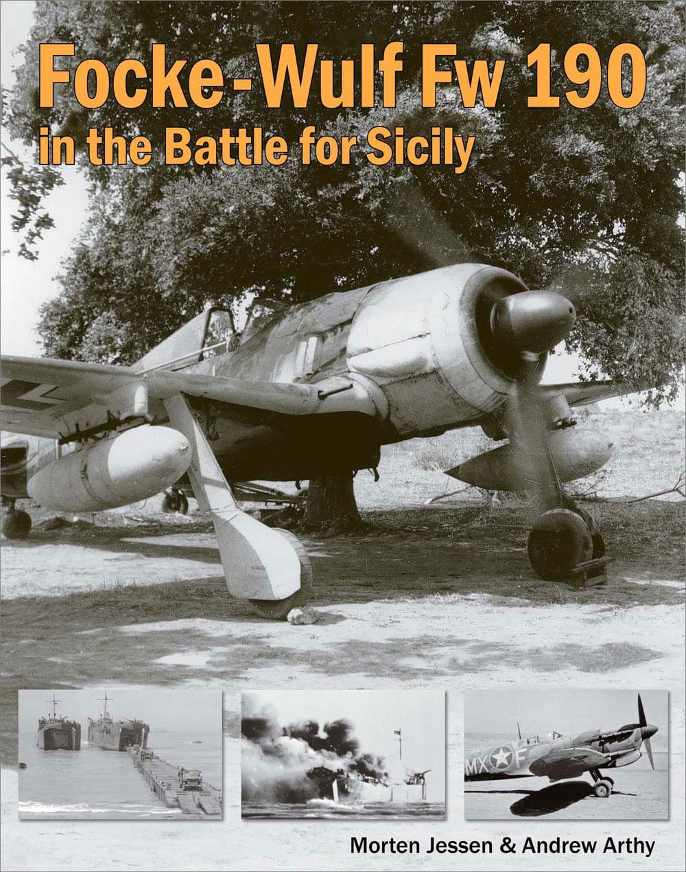 Focke-Wulf Fw 190 in the Battle for Sicily Hardcover – 19 Aug. 2015