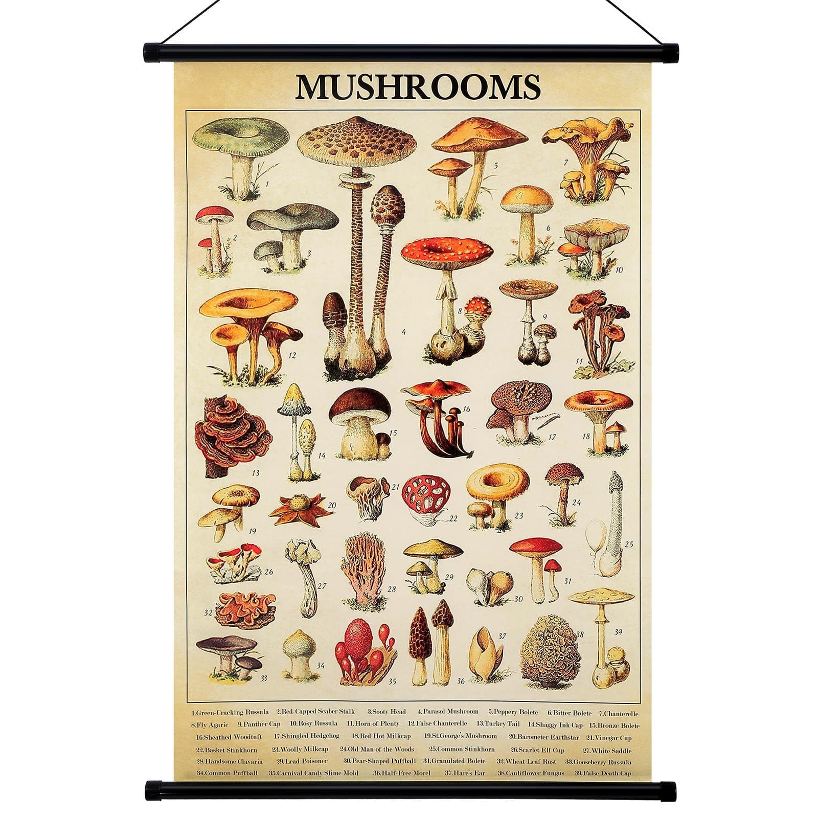 Geyee Vintage Mushroom Poster Rustic Tapestry Decor Wall Art Prints Retro Mushroom Wall Hanging Illustrative Reference Poster for Living Room Office Bedroom Decor, 15.8x23.6 Inch(Kraft Color)