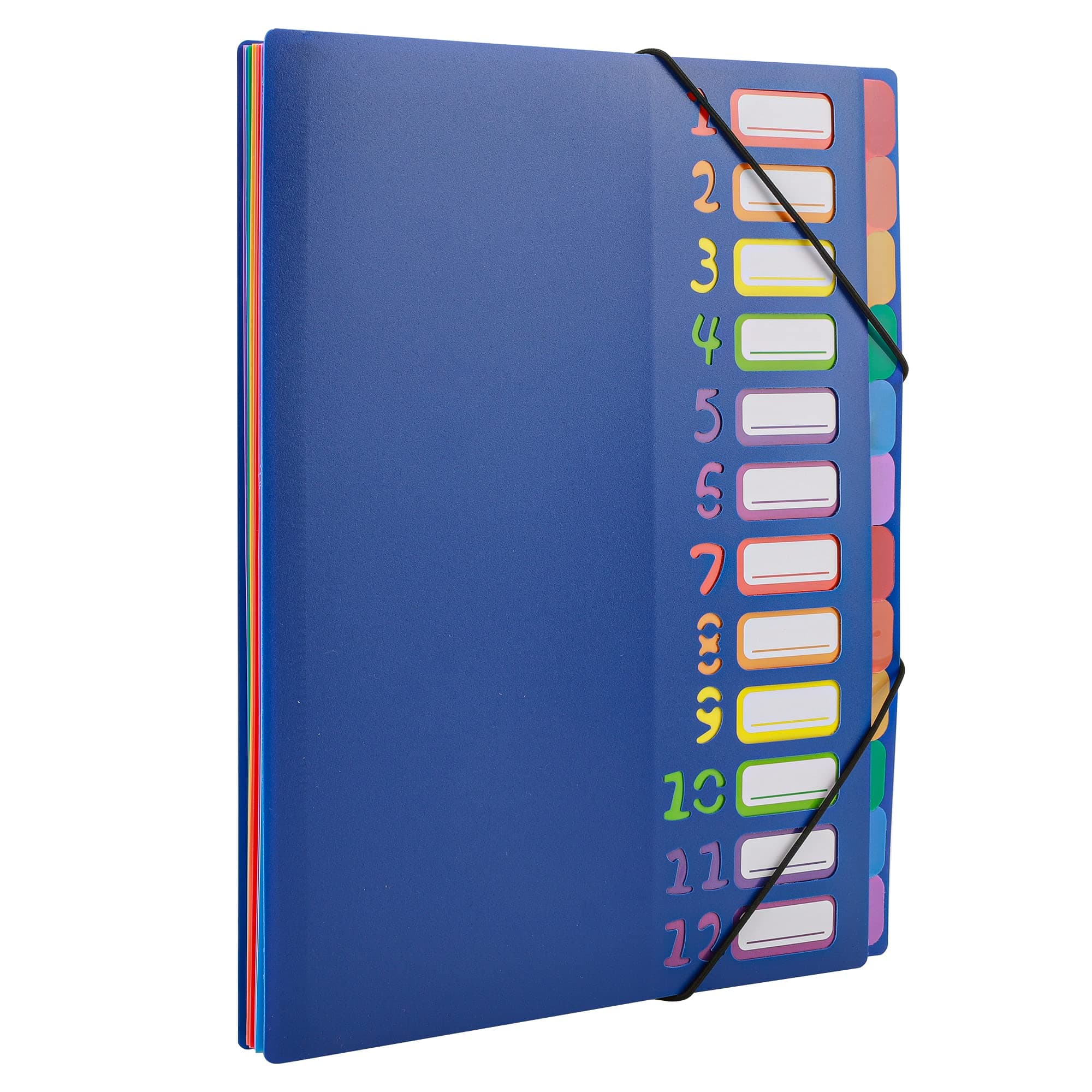 Edufun Rainbow Tab Expanding File Folder - 24 Pockets, Durable A4 Letter Size Organizer, Water-Resistant Plastic Dividers, Home/Office/School Document Holder (Blue)