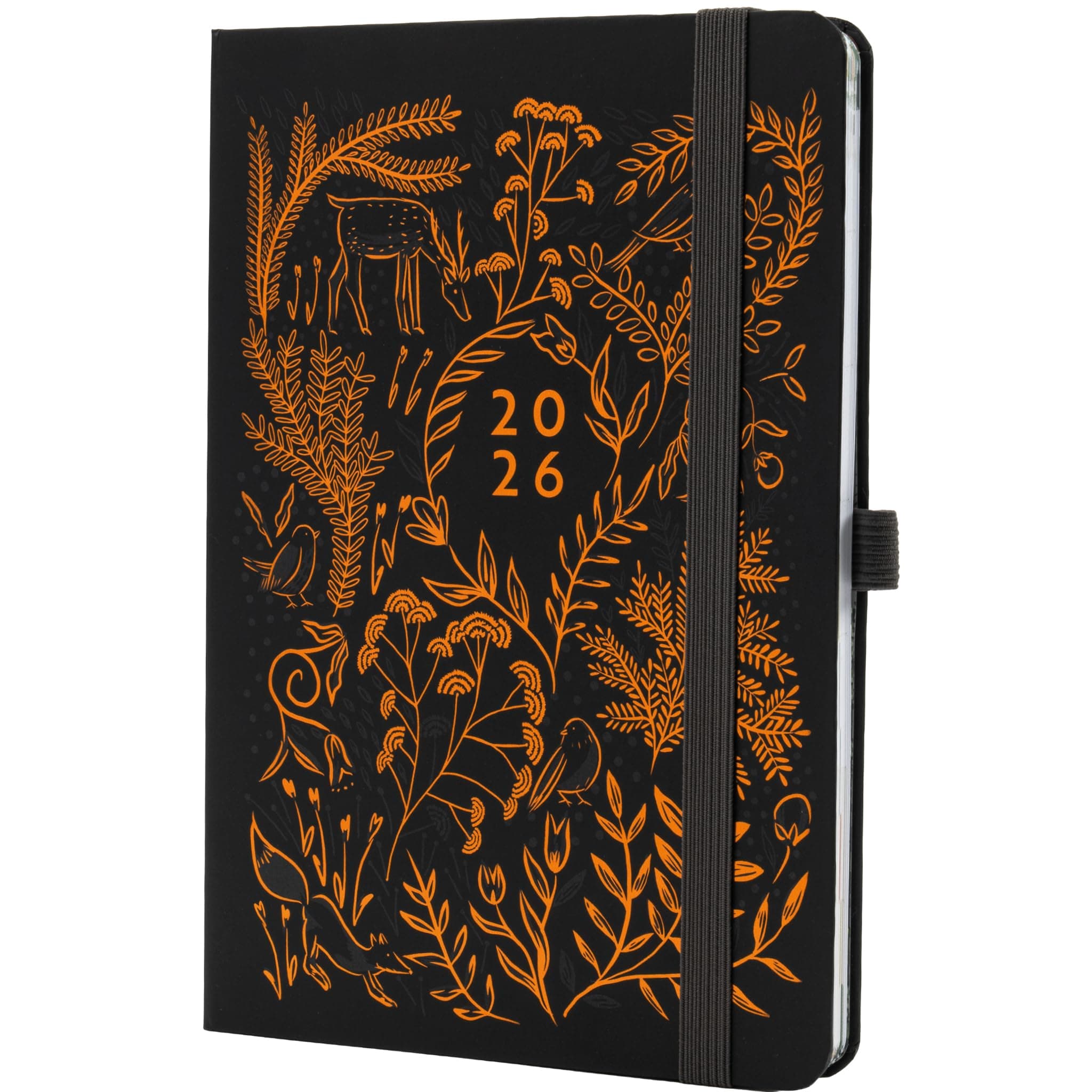 Boxclever Press Everyday 2026 Diary A5 Week to View runs Jan - Dec'26. Luxury Diary 2026 & Notebook In One! Stunning A5 2026 week to view