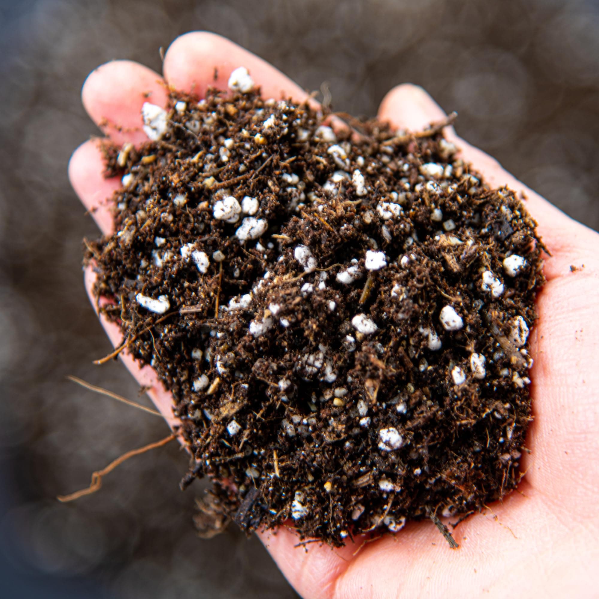 Carnivorous Plant Potting Mix – Premium Venus Flytrap, Pitcher Plant and Sundew Substrate with Perlite, Coco Coir and Leca for Healthy Growth and Strong Root Development (1L)