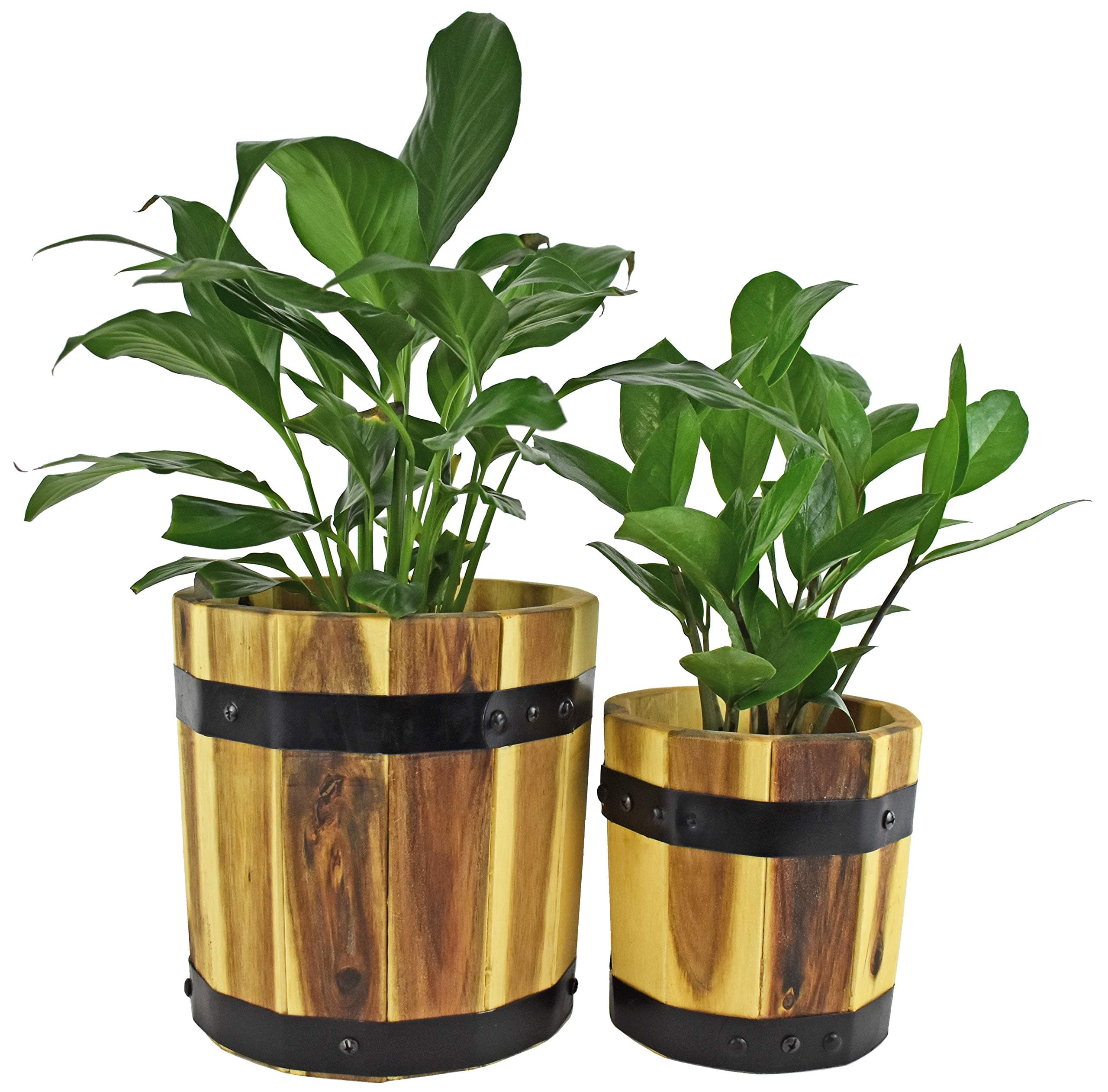 Acacia Wood Round Cylinder Set of 2 Planters