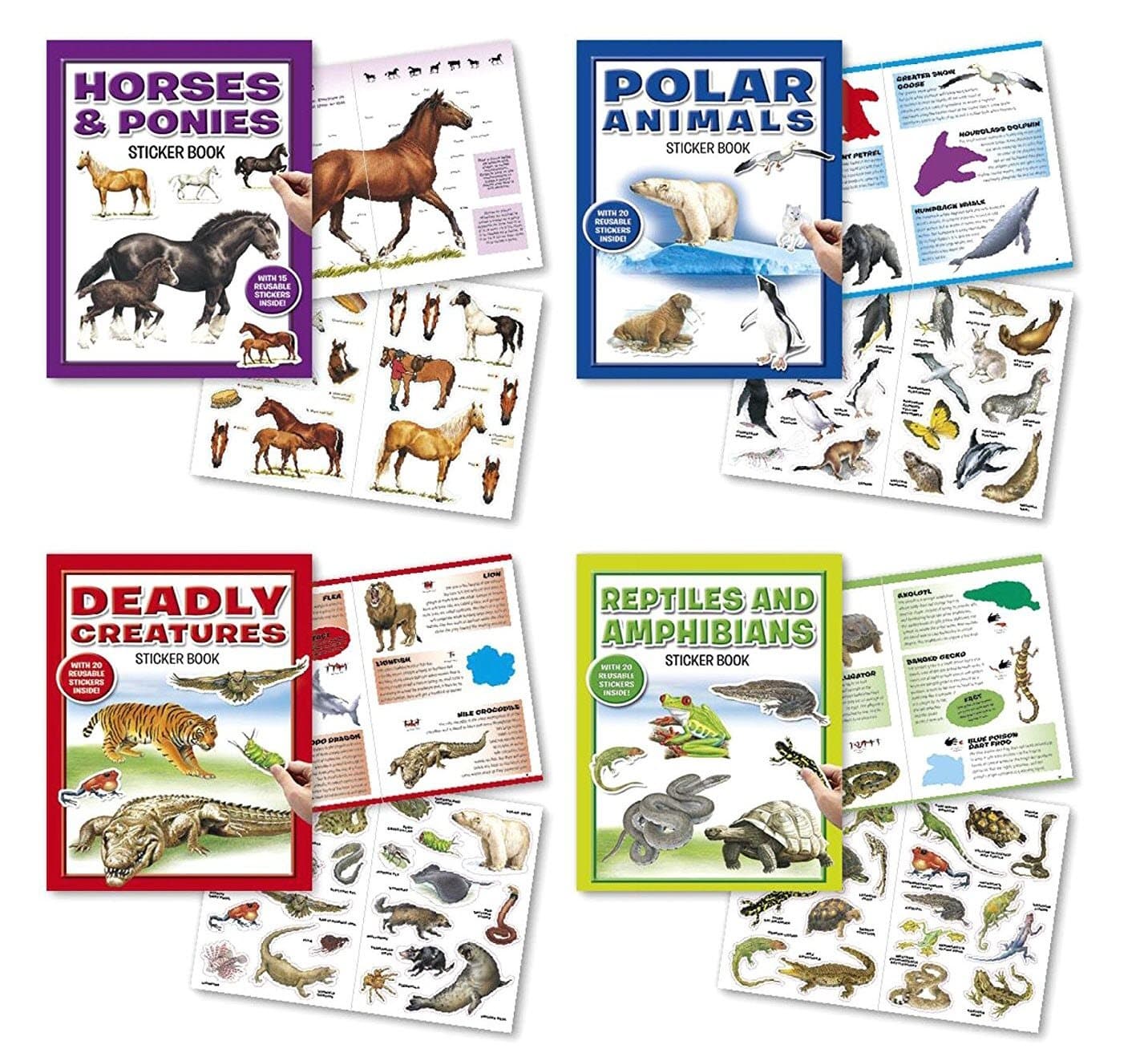 Horses and Ponies, Polar Animals, Deadly Creatures, Reptiles and Amphibians Animals Stickers 4 Sticker Activity Books 75 Stickers w/ Amazing Animal Facts Stickers for Kids, Boys, Girls