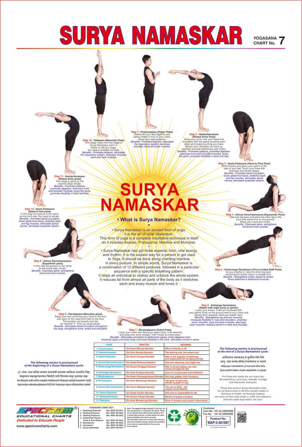 Spectrum Youngster Learning Laminated Poster Surya Namaskar Wall Hanging Chart