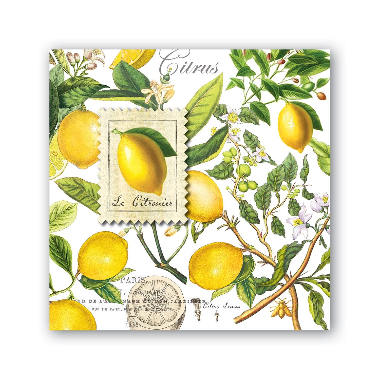 Soft Triple-ply Paper Cocktail Napkins, Lemon Basil Themed, Perfect for Everday Use and Display