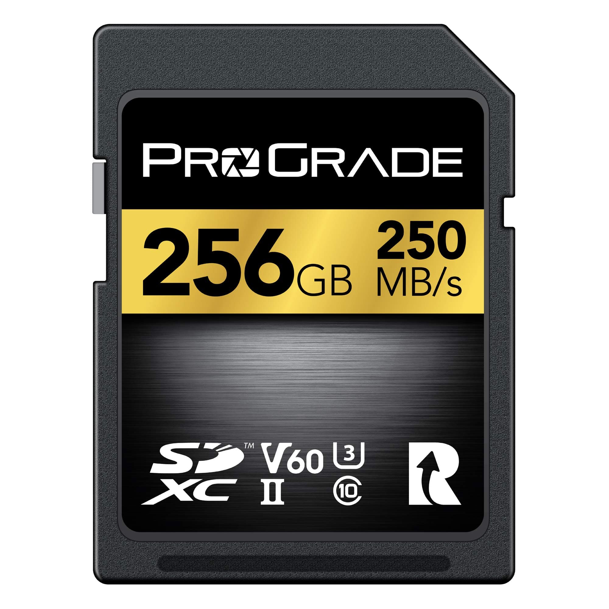 SD V60 256GB