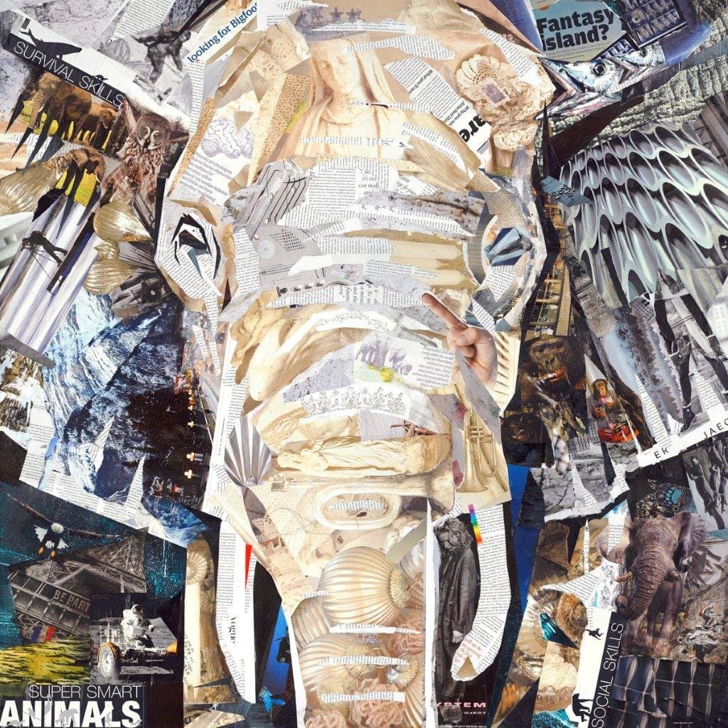 Incado 100 x 100 x 4 cm James Grey Elephant Design Art
