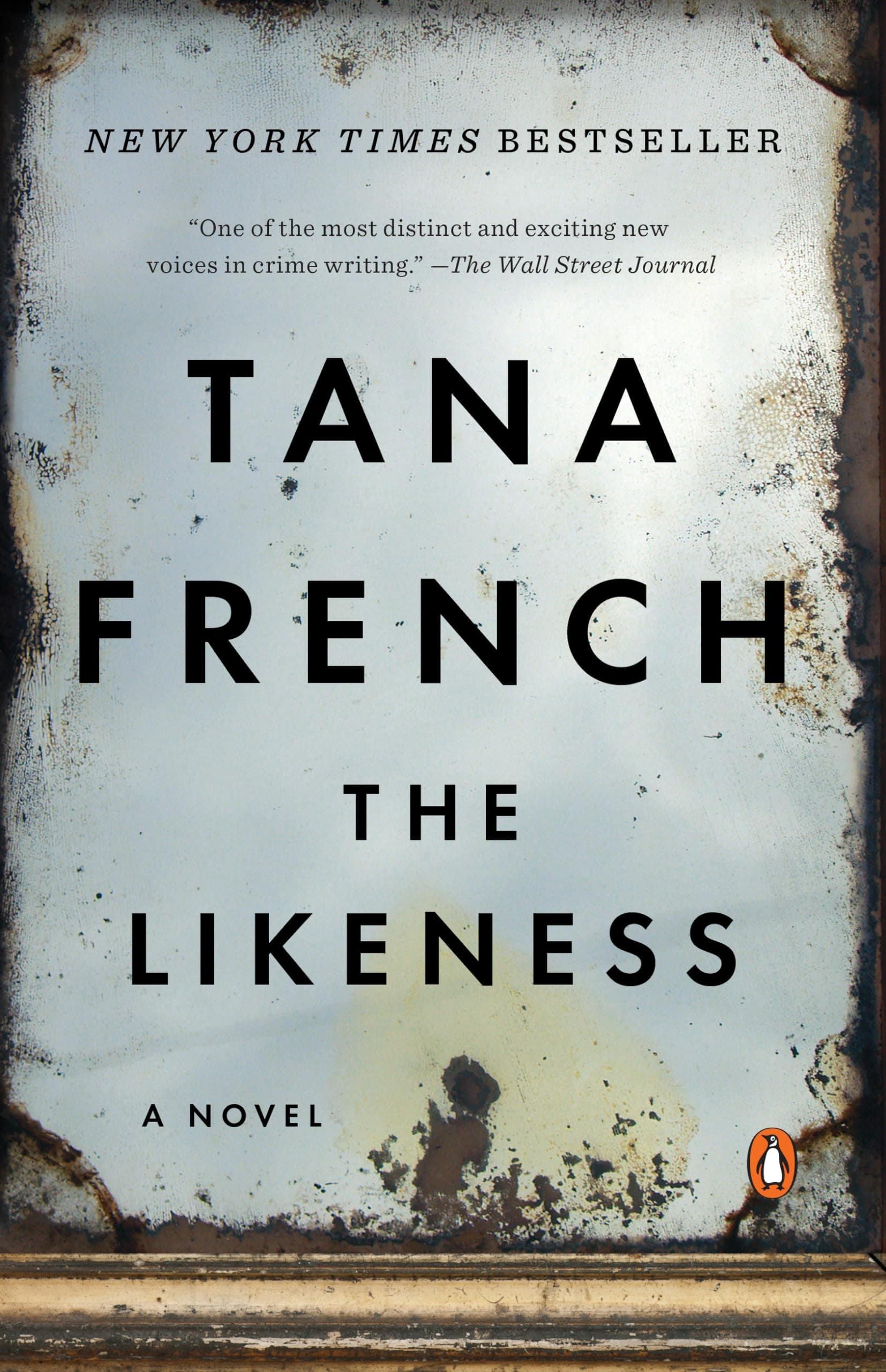 The Likeness (Dublin Murder Squad) Paperback – May 26, 2009