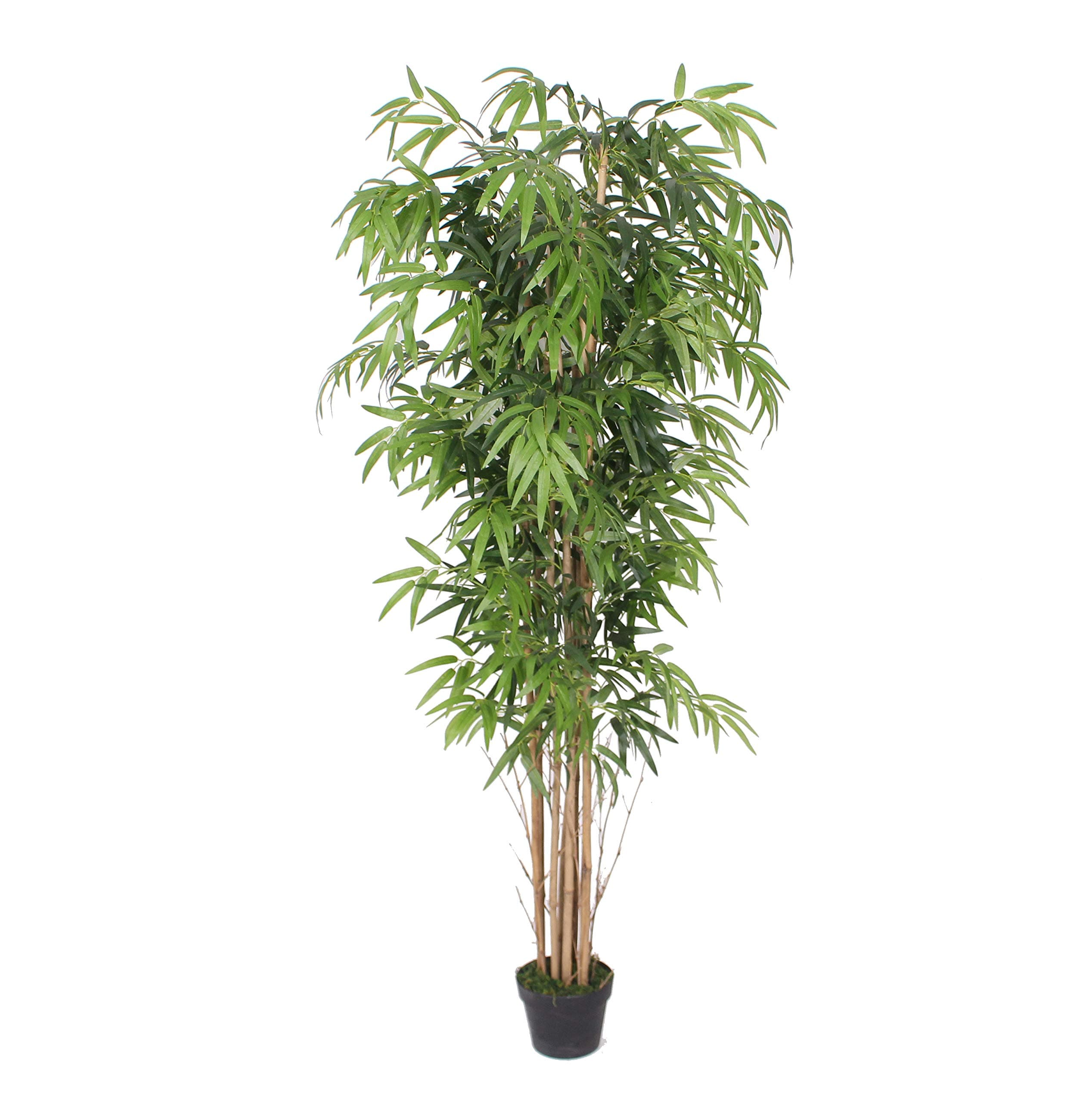 AMERIQUEAMT24125 Gorgeous Dense Bamboo Tree Artificial Plant w Nursery Plastic Pot, Real Touch Tech, UV Protection, Unique 6 Technology Super Quality, 6', Green