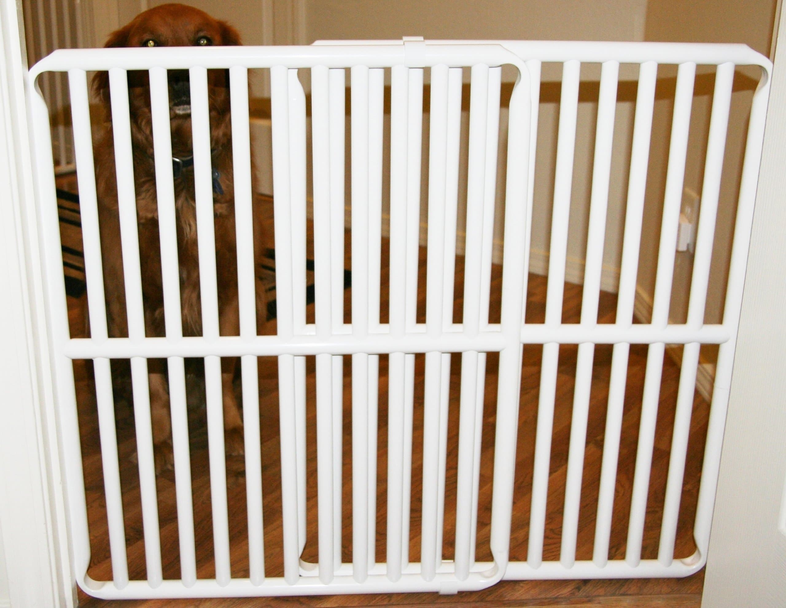 Rover Company Cat and Dog Gate, 30-Inch