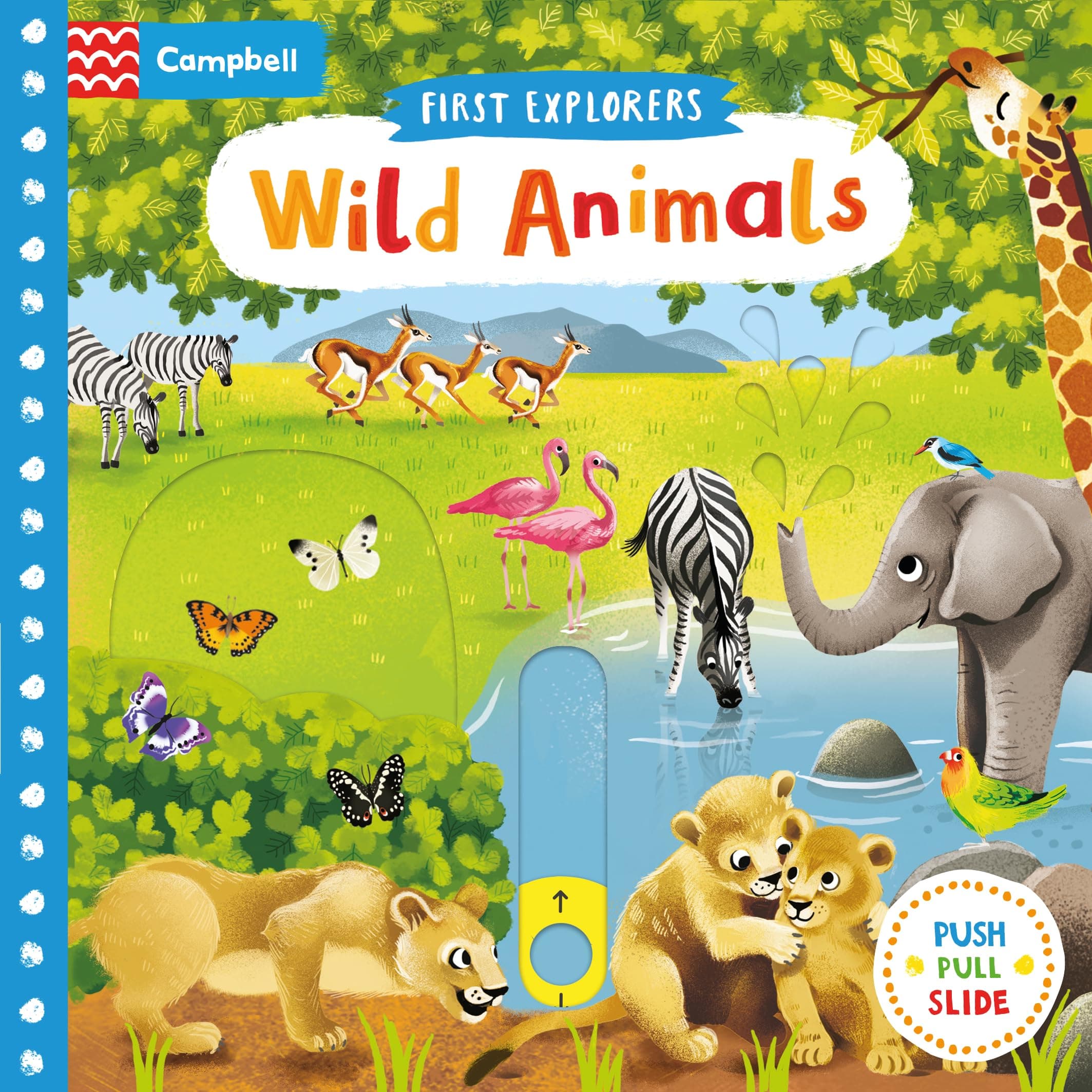 Wild Animals (Campbell First Explorers, 7)