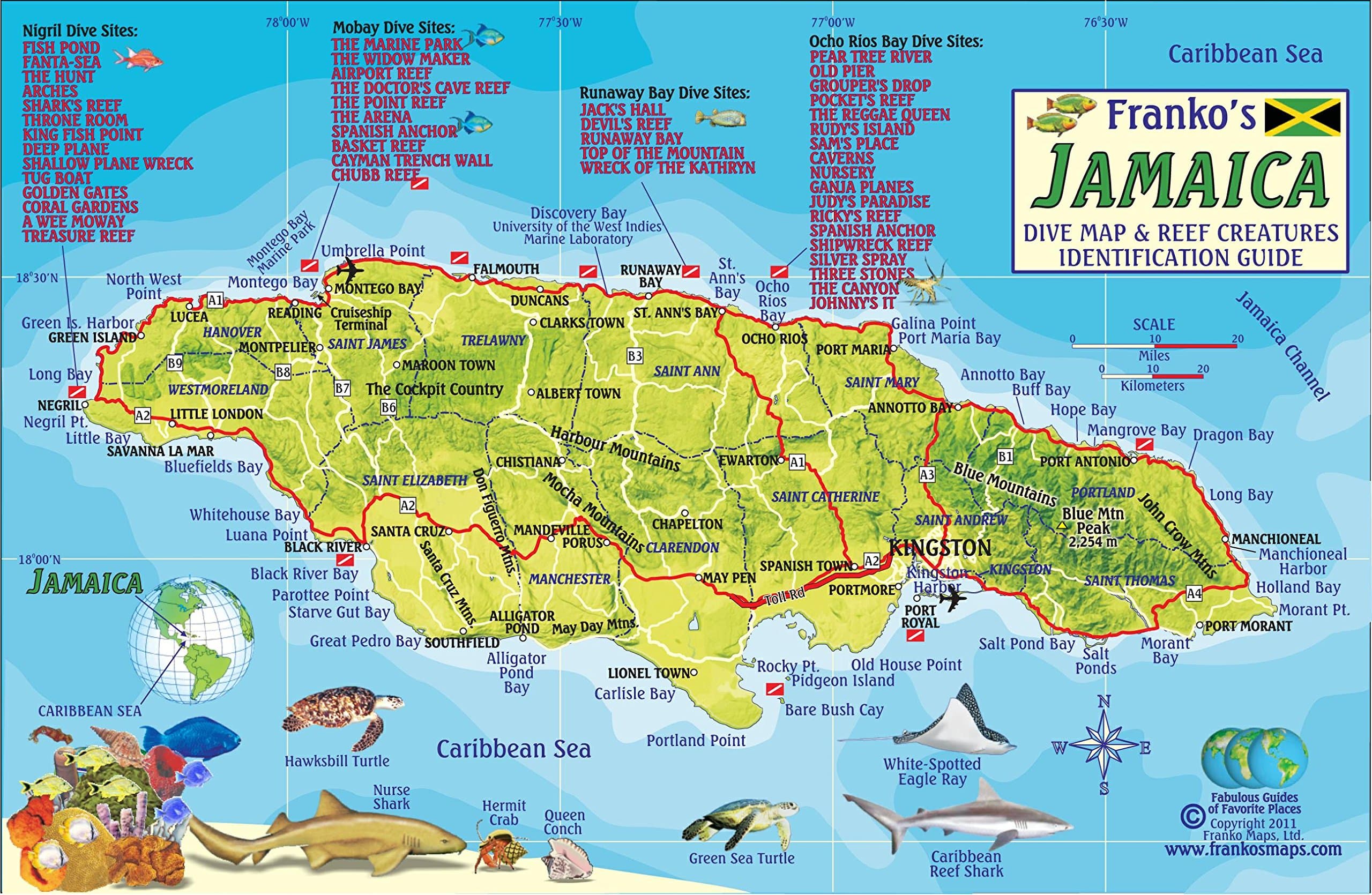 Jamaica Dive Map & Coral Reef Creatures Guide Franko Maps Laminated Fish Card Map – 1 August 2014