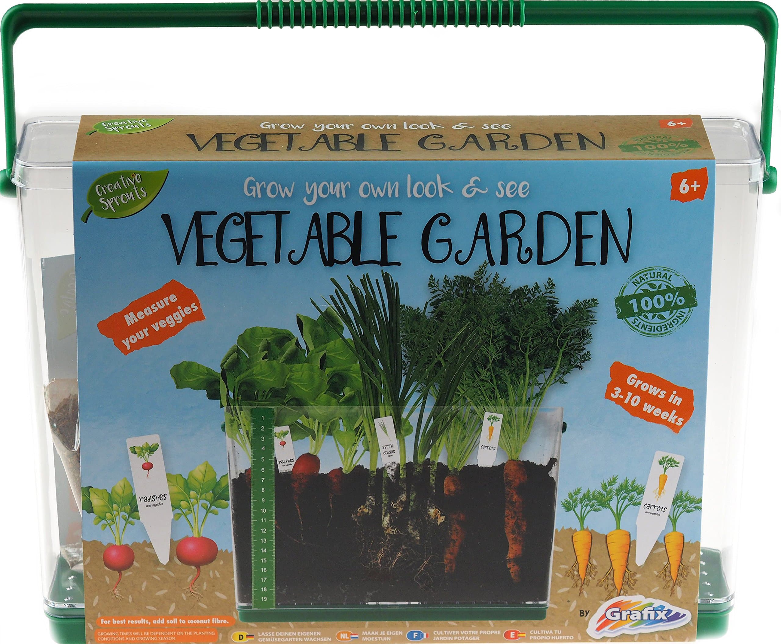 Grow Your Own Vegetable Garden