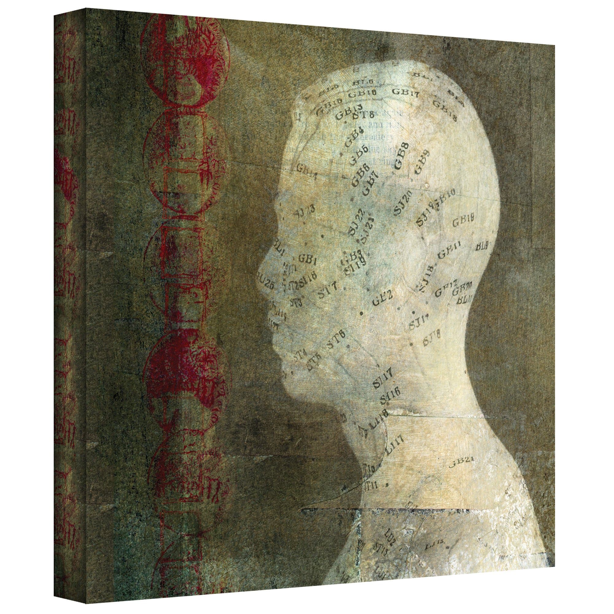 ArtWall Acupuncture Gallery-Wrapped Canvas Art by Elena Ray, 36 by 36-Inch