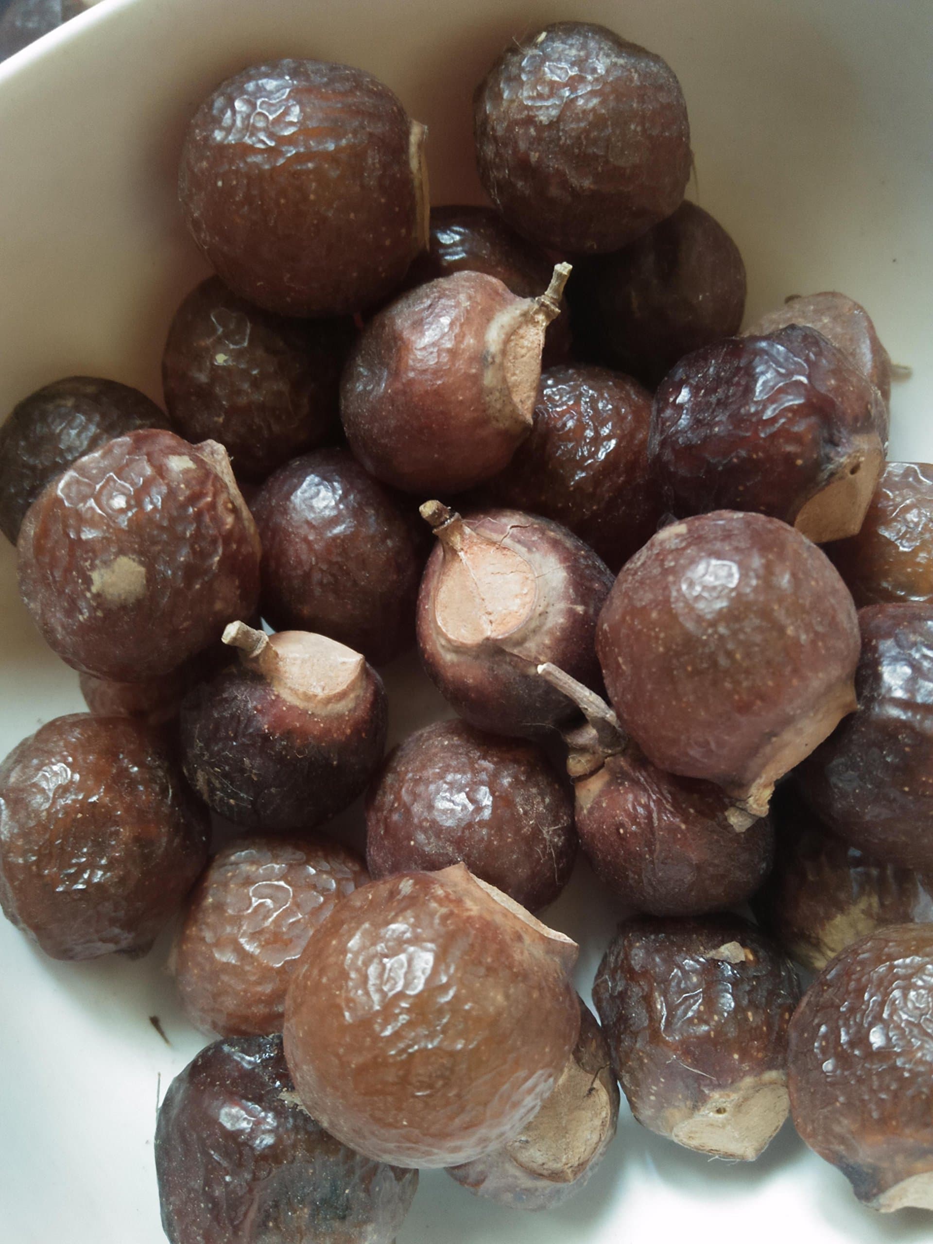 Marini Reetha Fresh and Organic SoapNuts (200g)