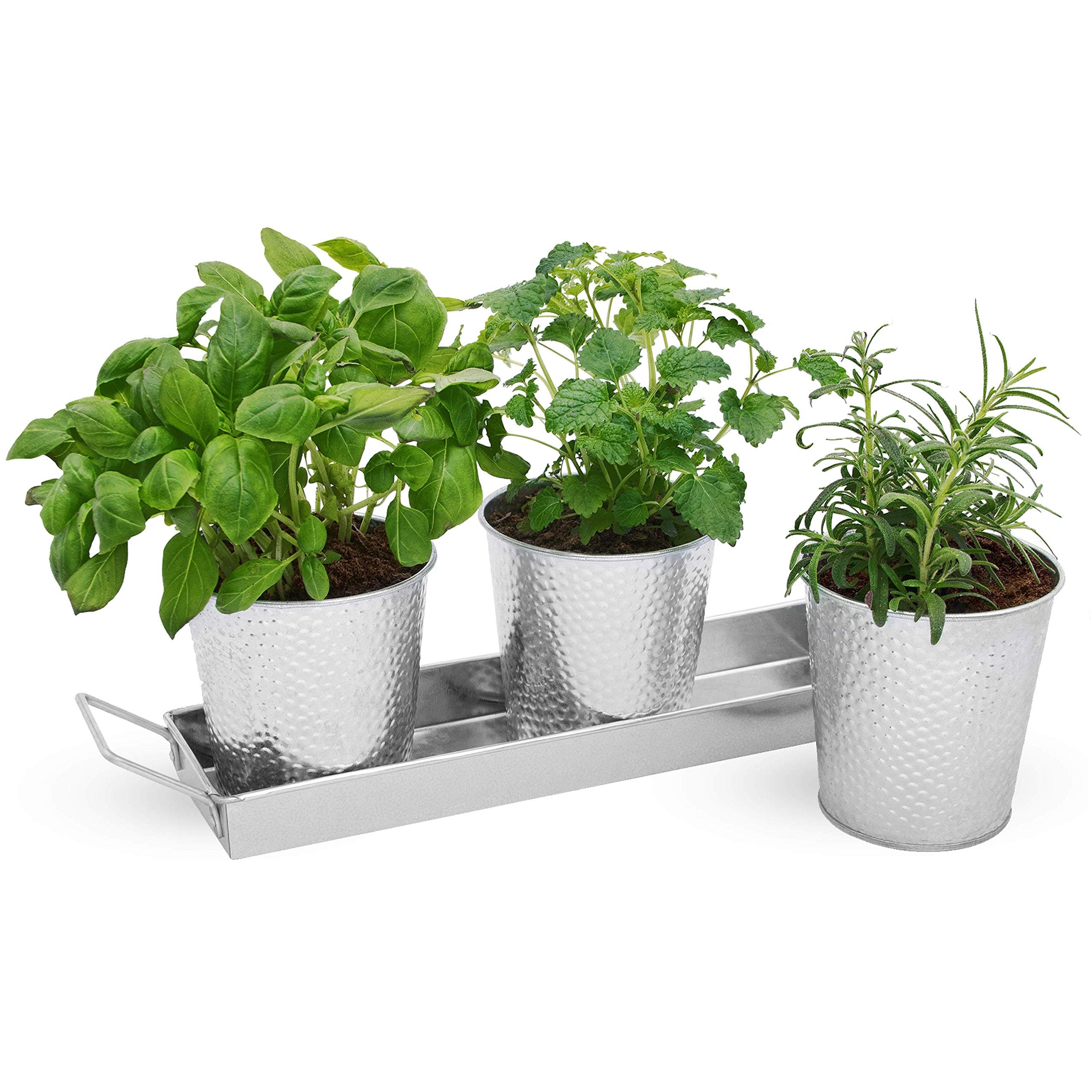 Saratoga Home Small Plant Pots with Drainage Holes Use as Herb Garden Planters, Shallow Planter, Succulent or Flower Pots, Outdoor Indoor Planter Pots with Drainage & Tray, 3 Set of 4 inch Pots