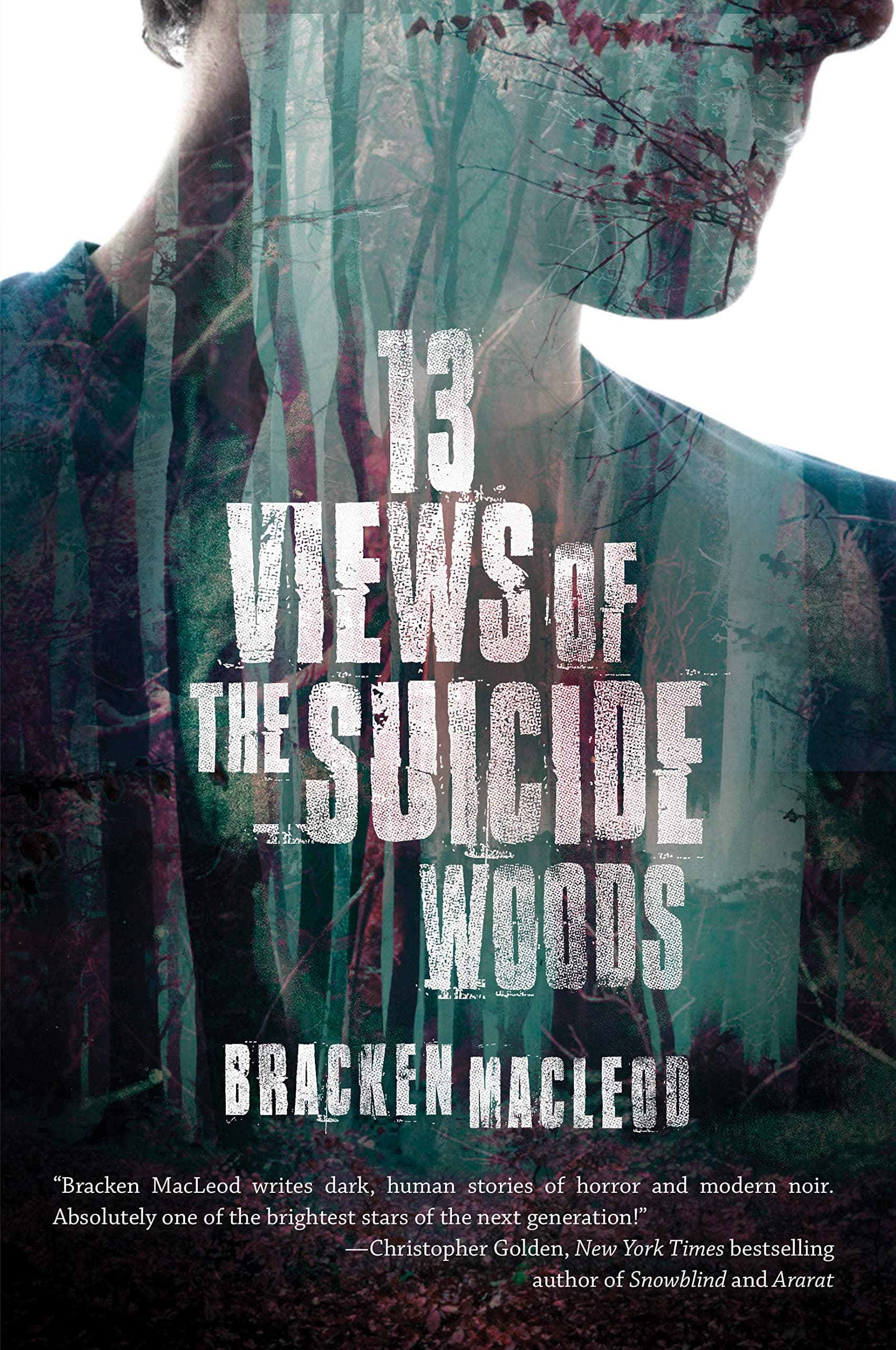 13 Views of the Suicide Woods Paperback – 27 April 2017