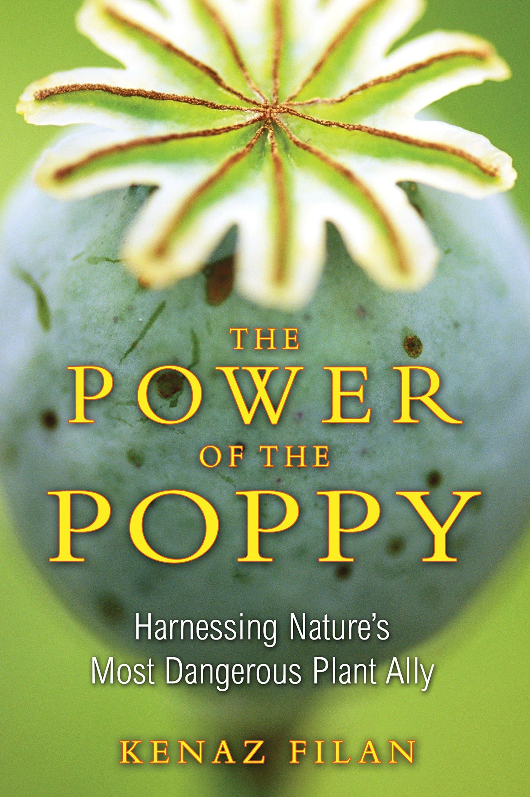 The Power of the Poppy: Harnessing Nature's Most Dangerous Plant Ally Paperback – February 23, 2011