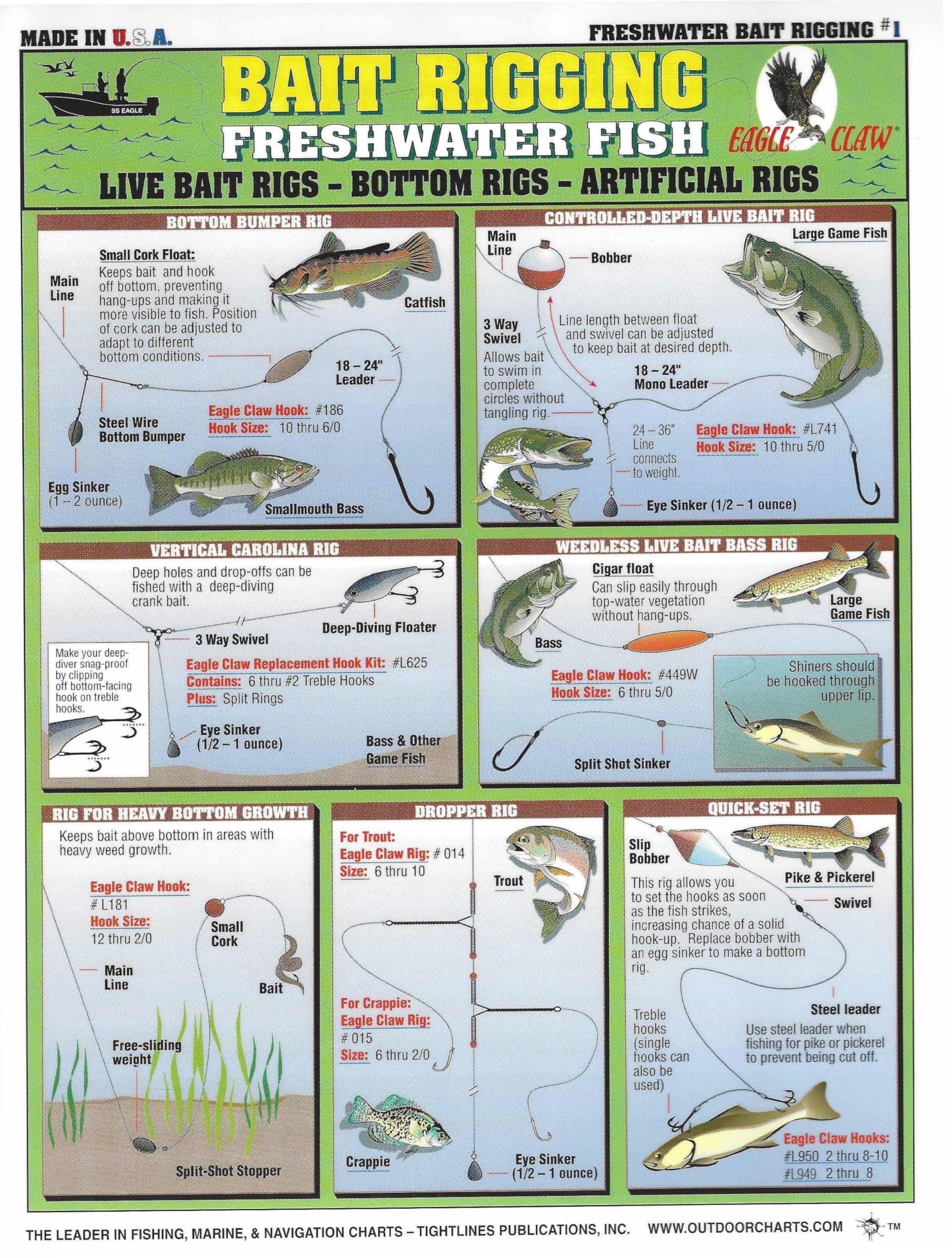 Freshwater Bait Rigging Chart #1 - Waterproof Quick Reference Fishing Guide - (Live Bait Rigs, Artificial Rigs, and Bottom Rigs) - Double-Sided & Easy to Read - Great Gift for Beginners