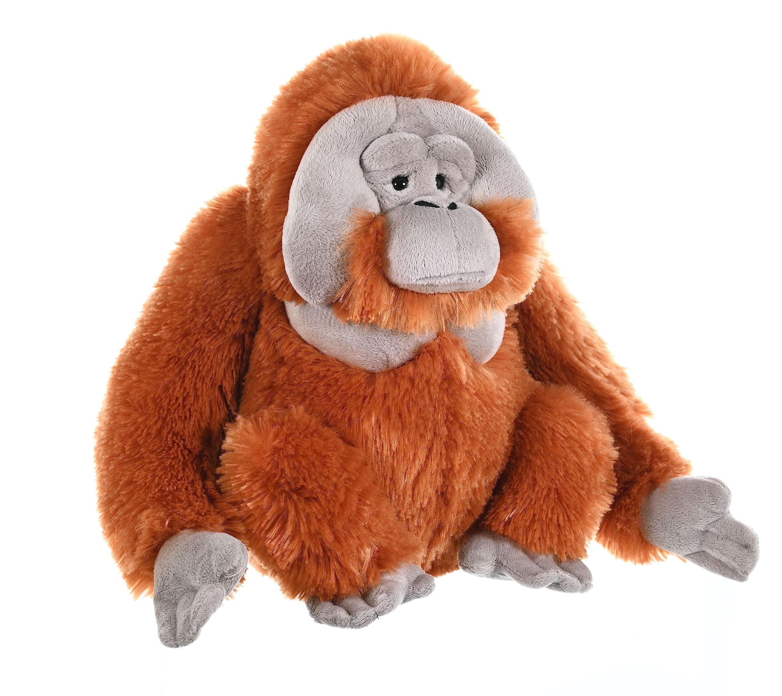 Wild Republic Male Orangutan Plush Soft Toy, Cuddlekins Cuddly Toys, Gifts for Kids 30 cm,Brown, Polyester