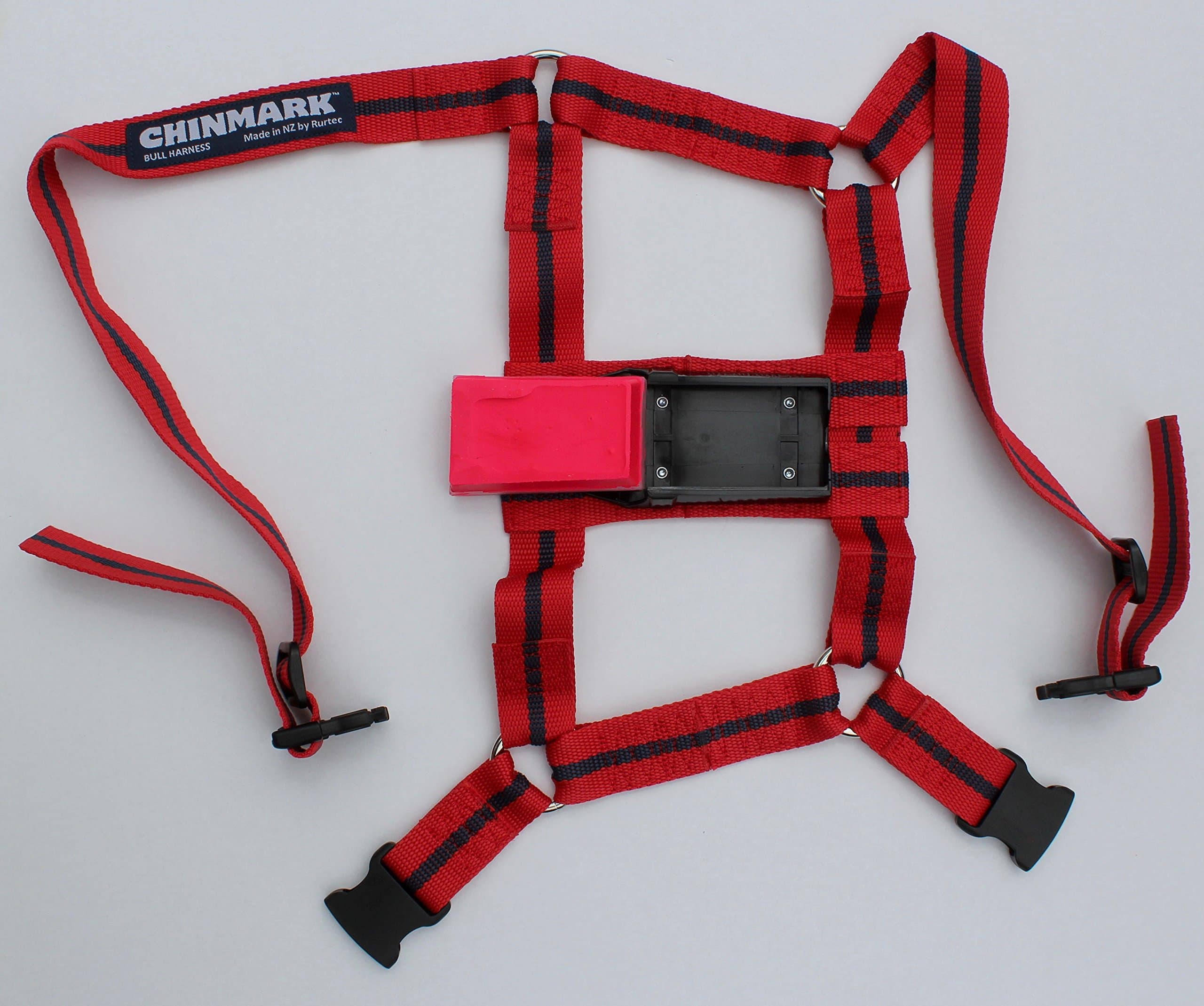 CHINMARK Bull & Teaser Harness with Fluoro Pink Crayon for Monitoring Cattle Breeding