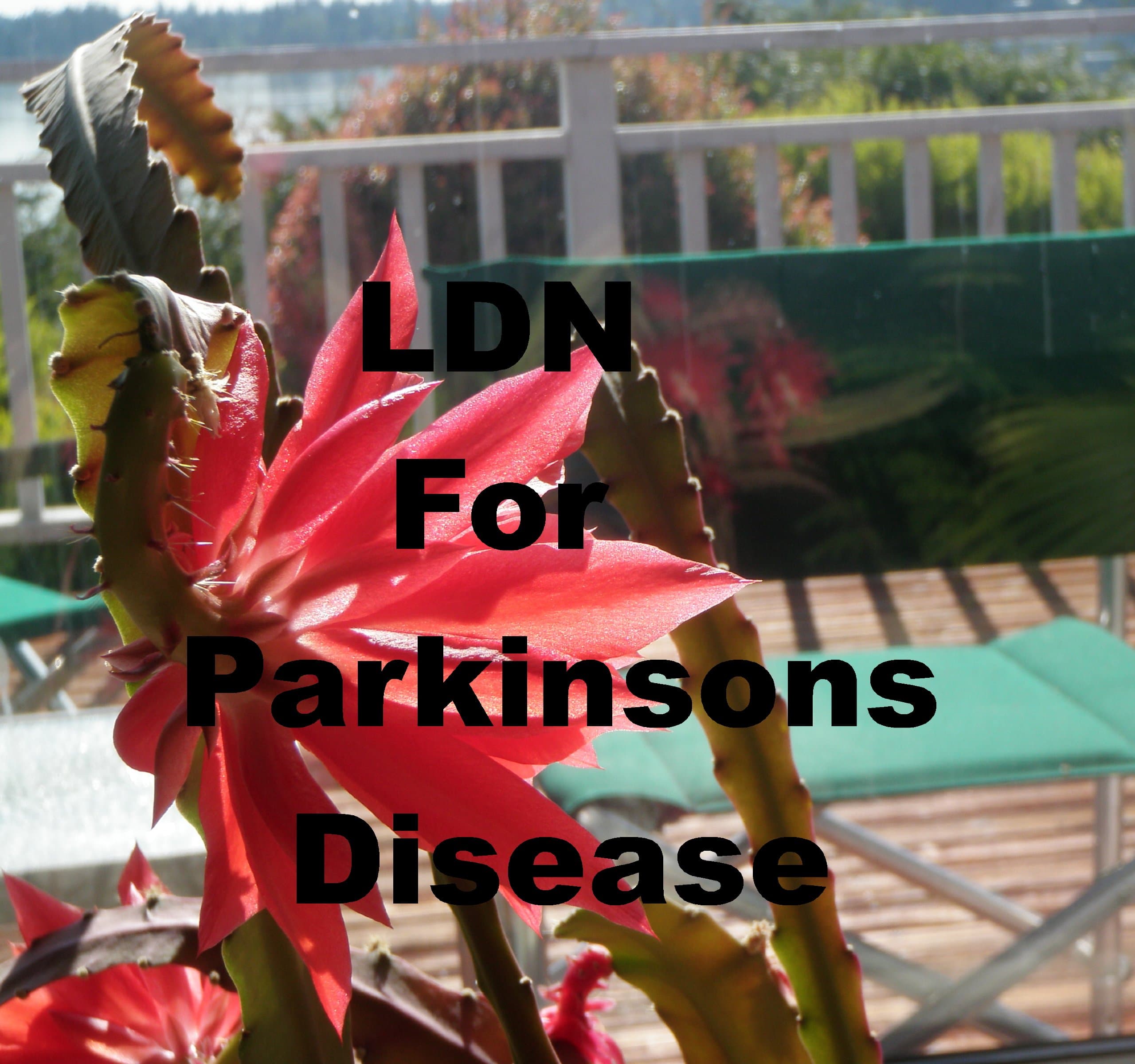 LDN for Parkinson's Disease: Low Dose Naltrexone